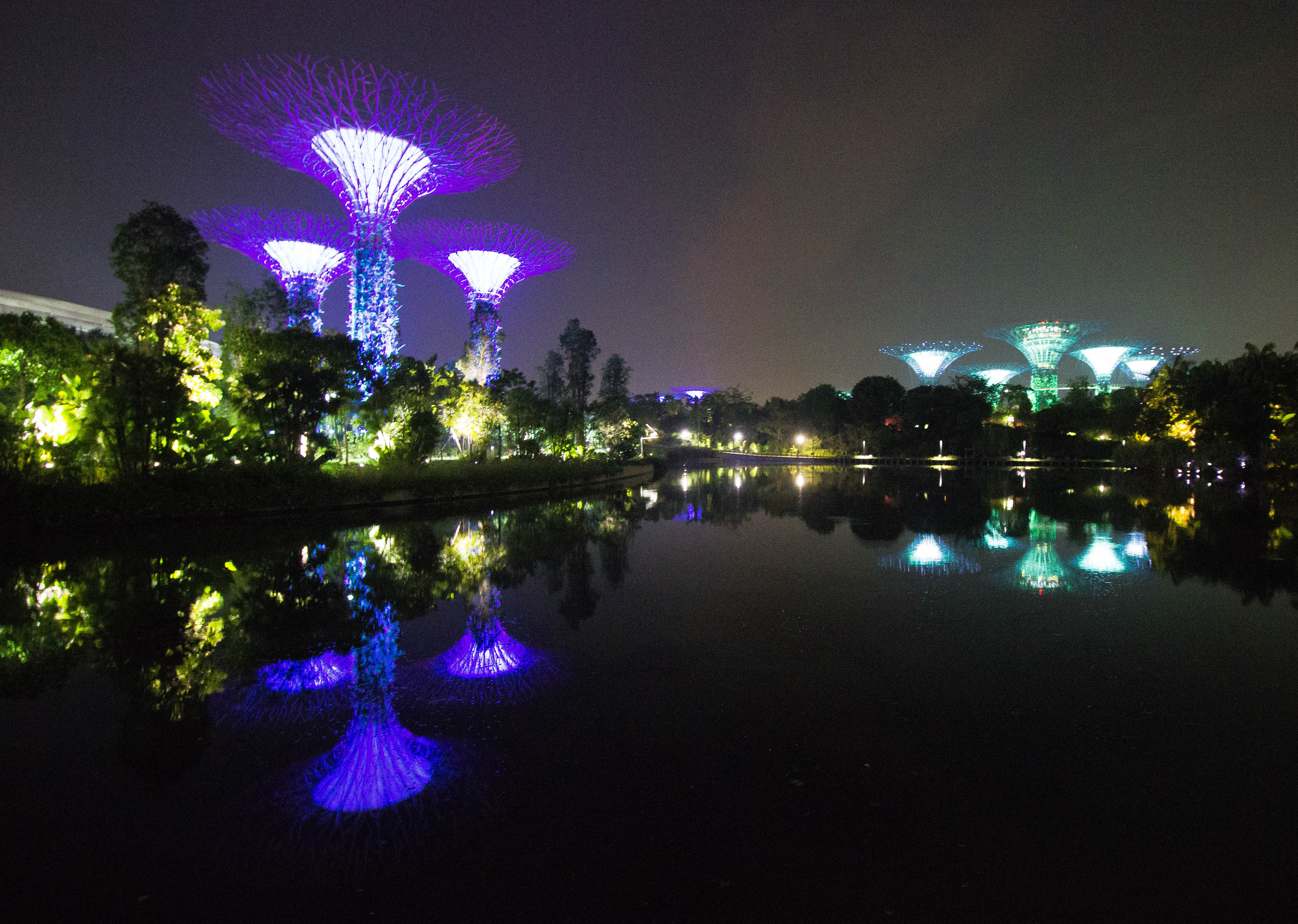 Explore the Supertree Grove