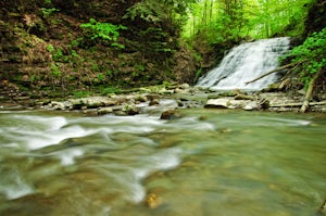 Hike to Papermill Falls 