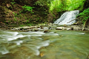 Hike to Papermill Falls 