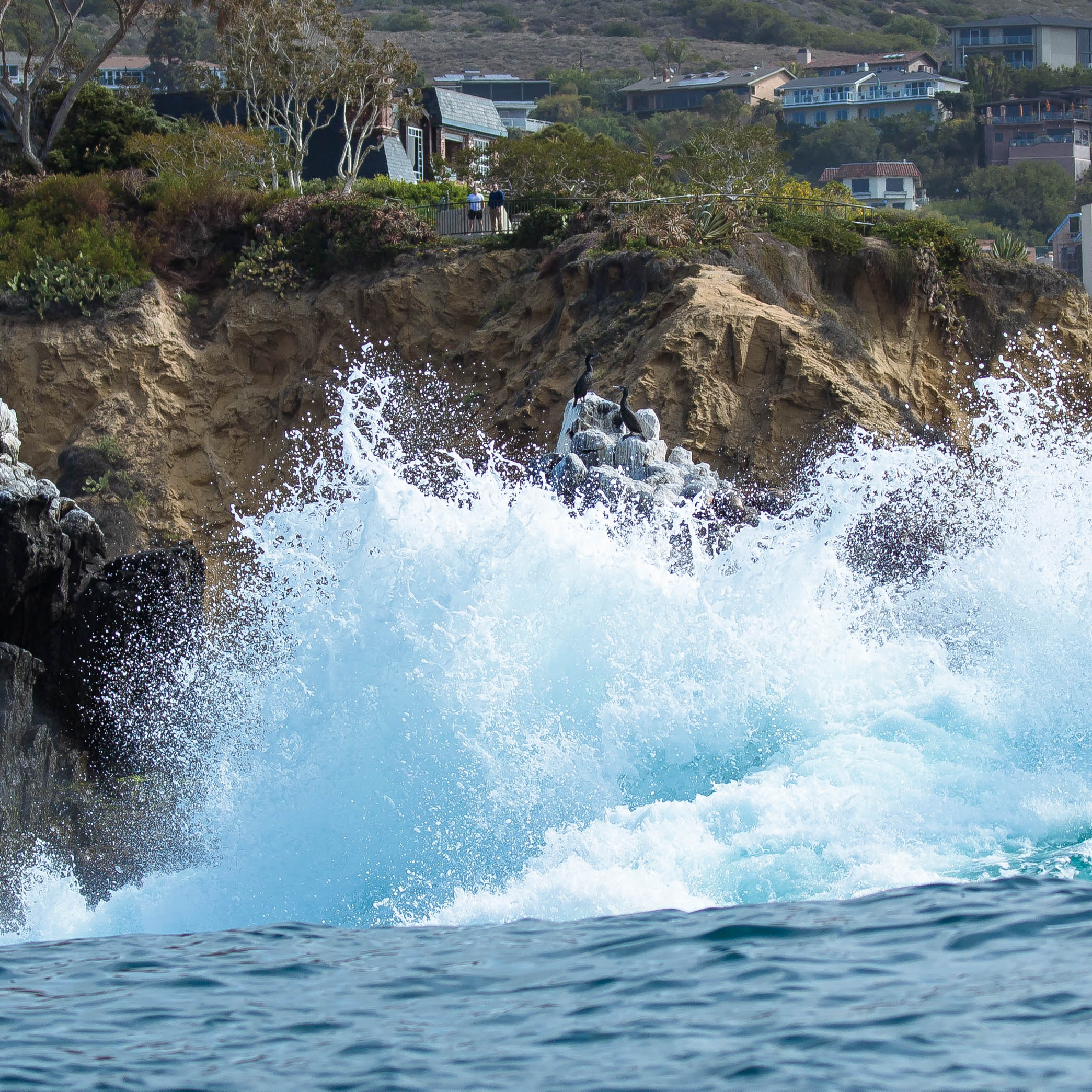 Kayak the Laguna Beach State Marine Preserve