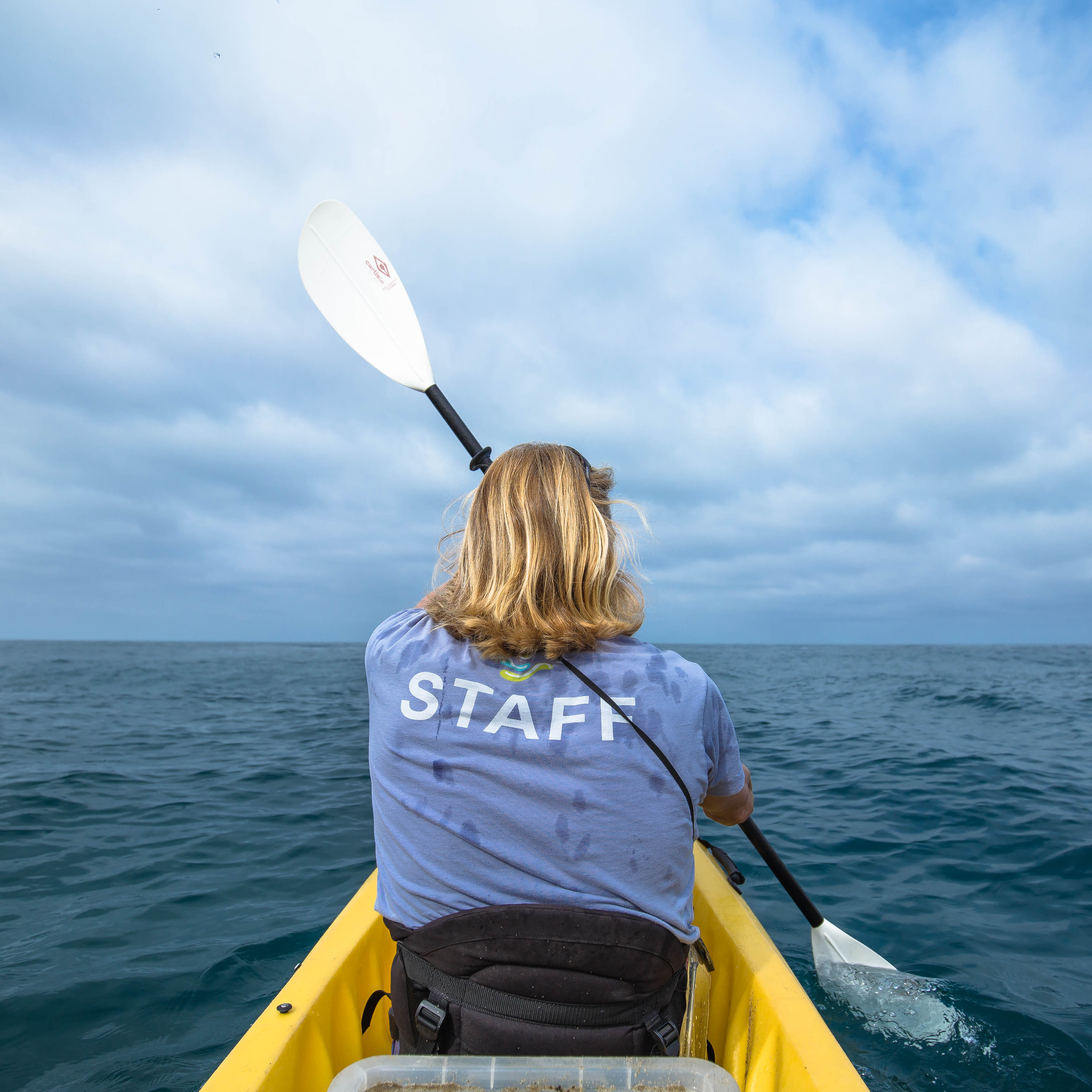 Kayak the Laguna Beach State Marine Preserve