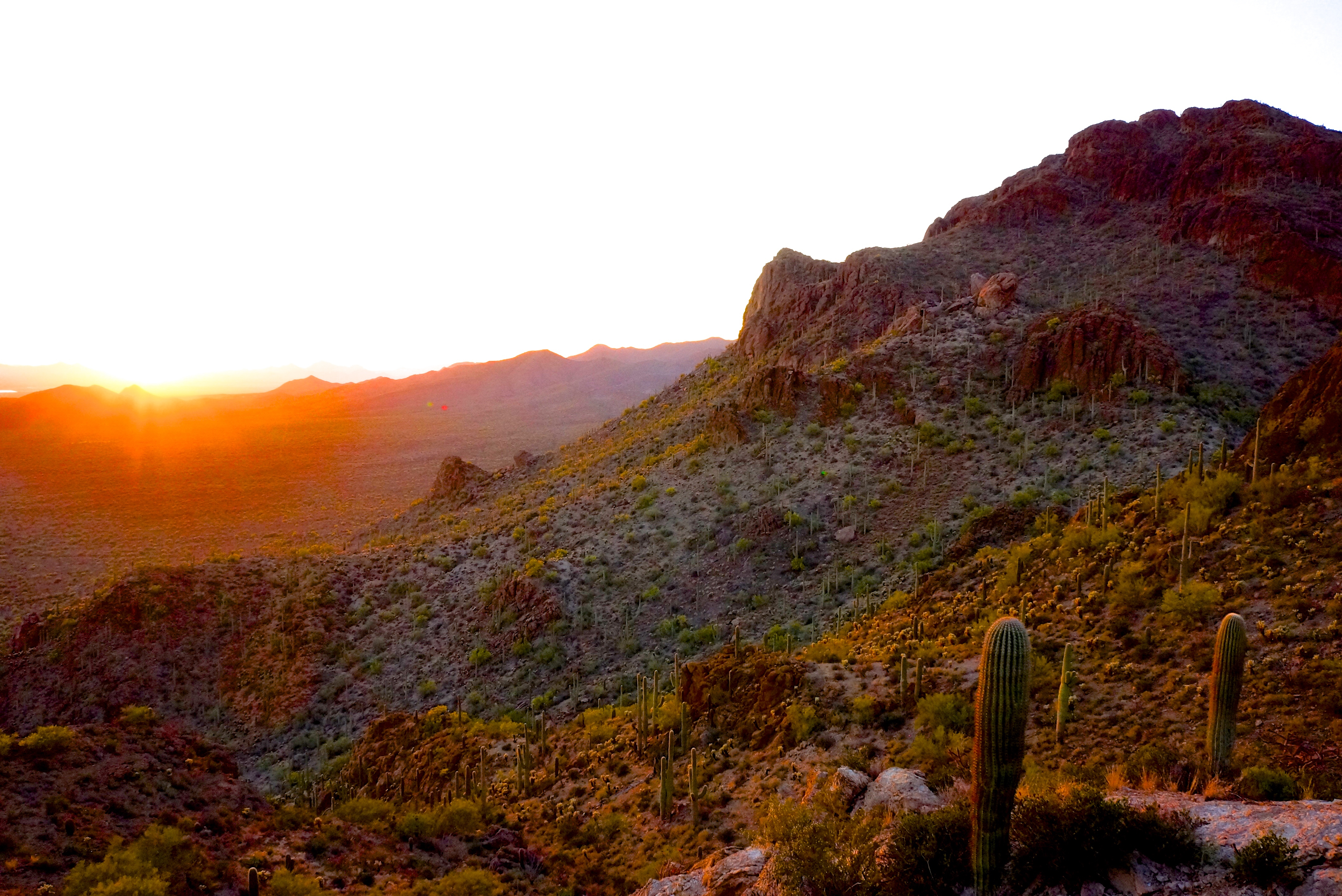 Catch The Sunset on Gates Pass, Tucson, Arizona