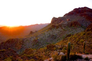 Catch The Sunset on Gates Pass