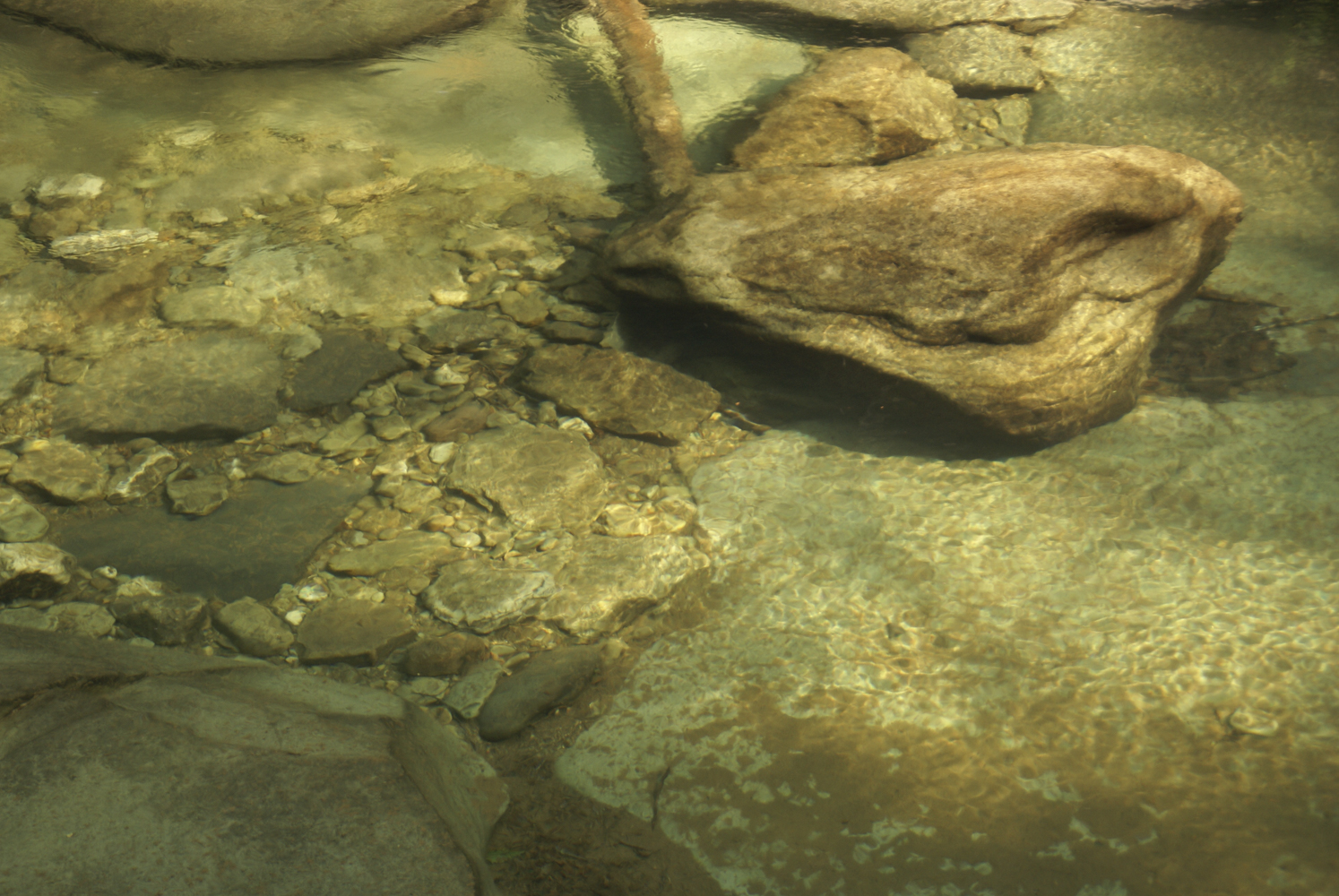 Explore Rock Run