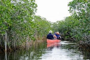 Paddle the 9 Mile Pond Canoe Trail