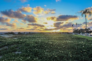 Coronado Beach