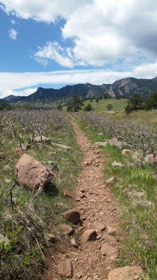 South Boulder Creek - Mesa Trail - Lower Big Bluestem Loop