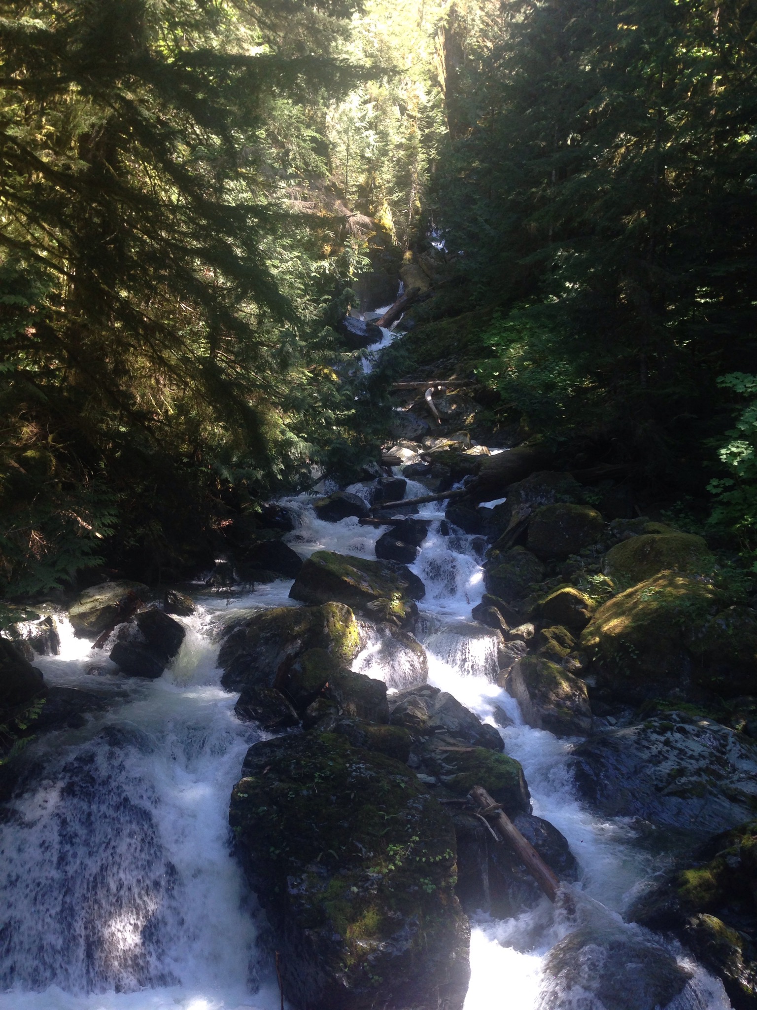 Hike the East Bank of Baker Lake