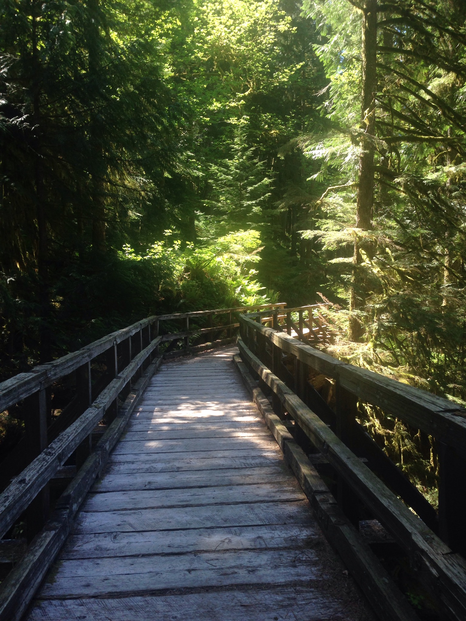 Hike the East Bank of Baker Lake