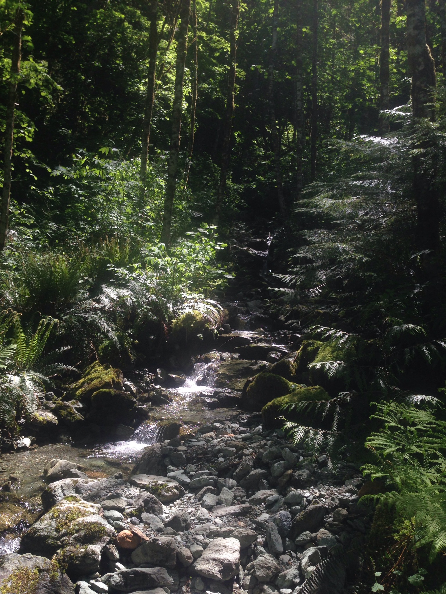 Hike the East Bank of Baker Lake