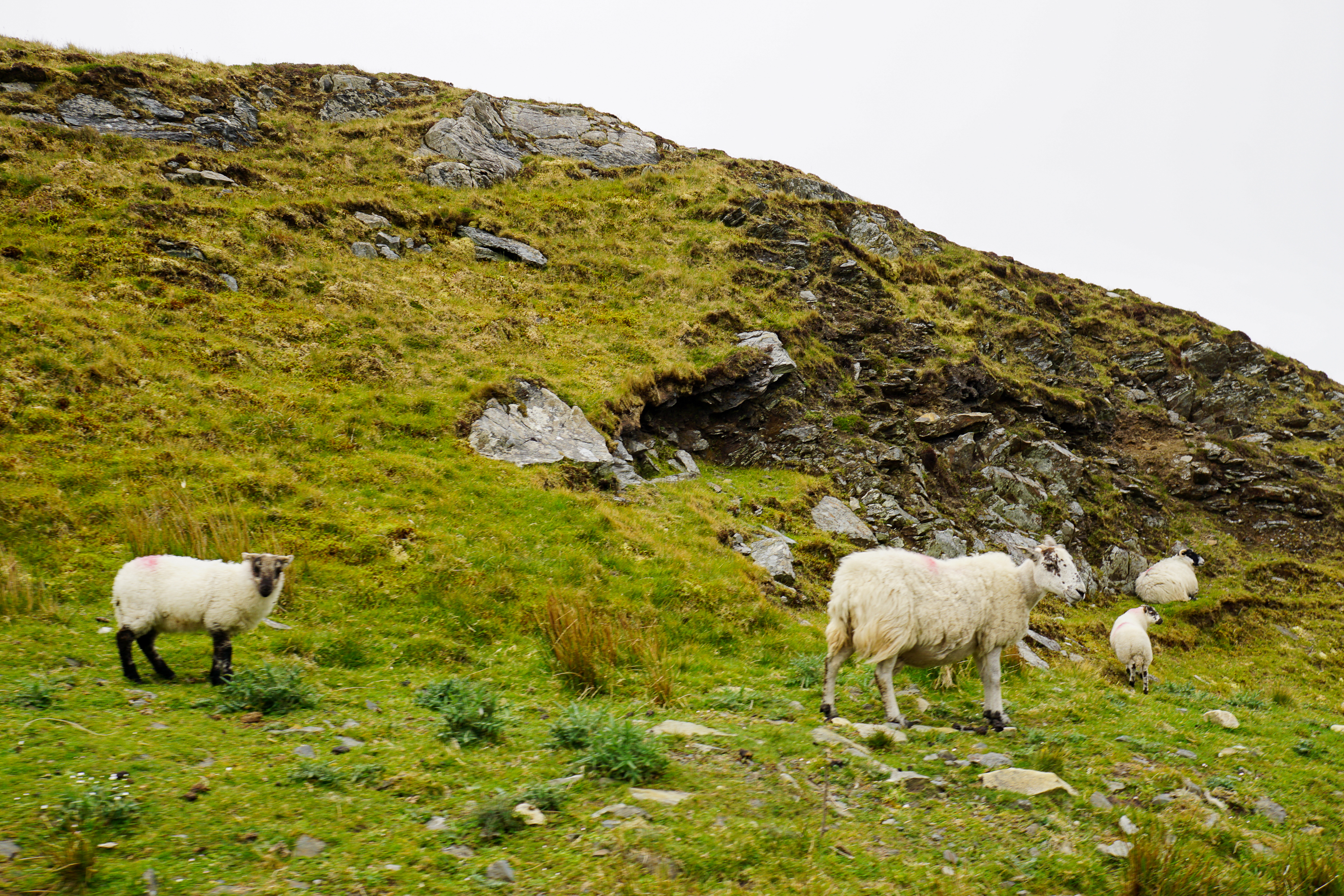 Slieve League