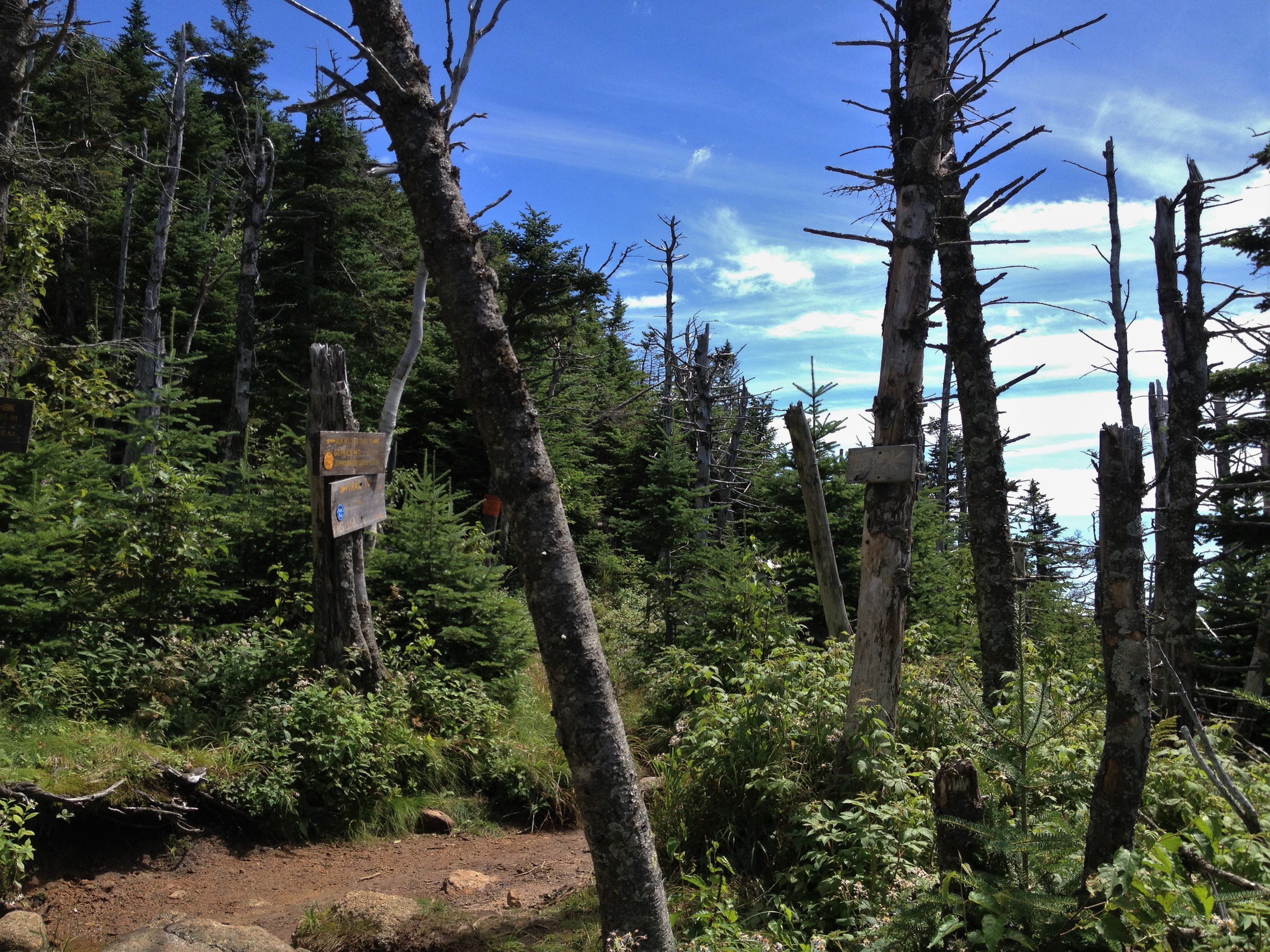 Gothics Mountain, Pyramid Peak, and Sawteeth Mountain via Beaver Meadow Falls 