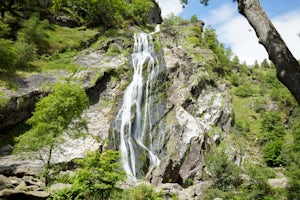 Explore Powerscourt Waterfall