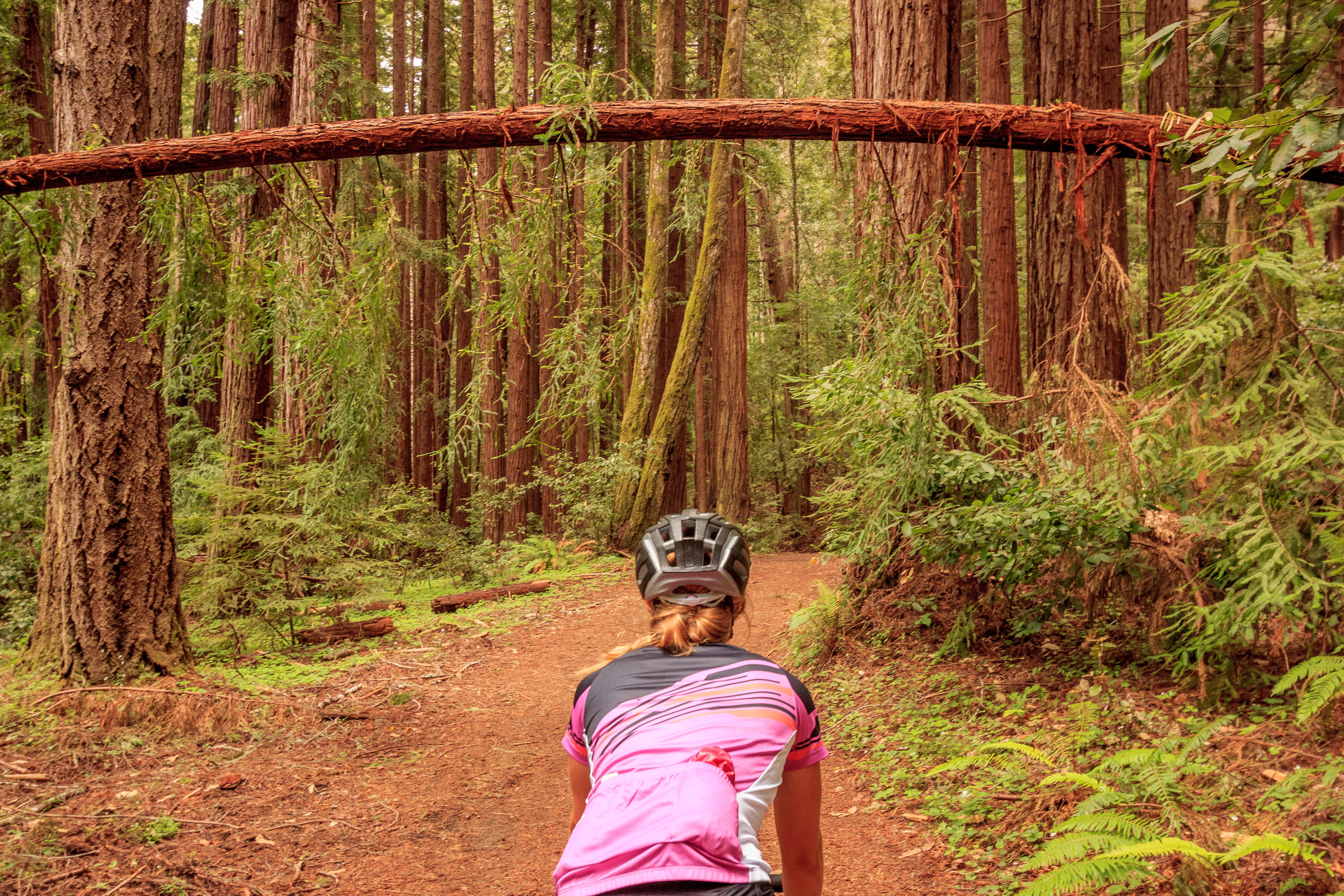 Bike Pescadero Creek County Park 