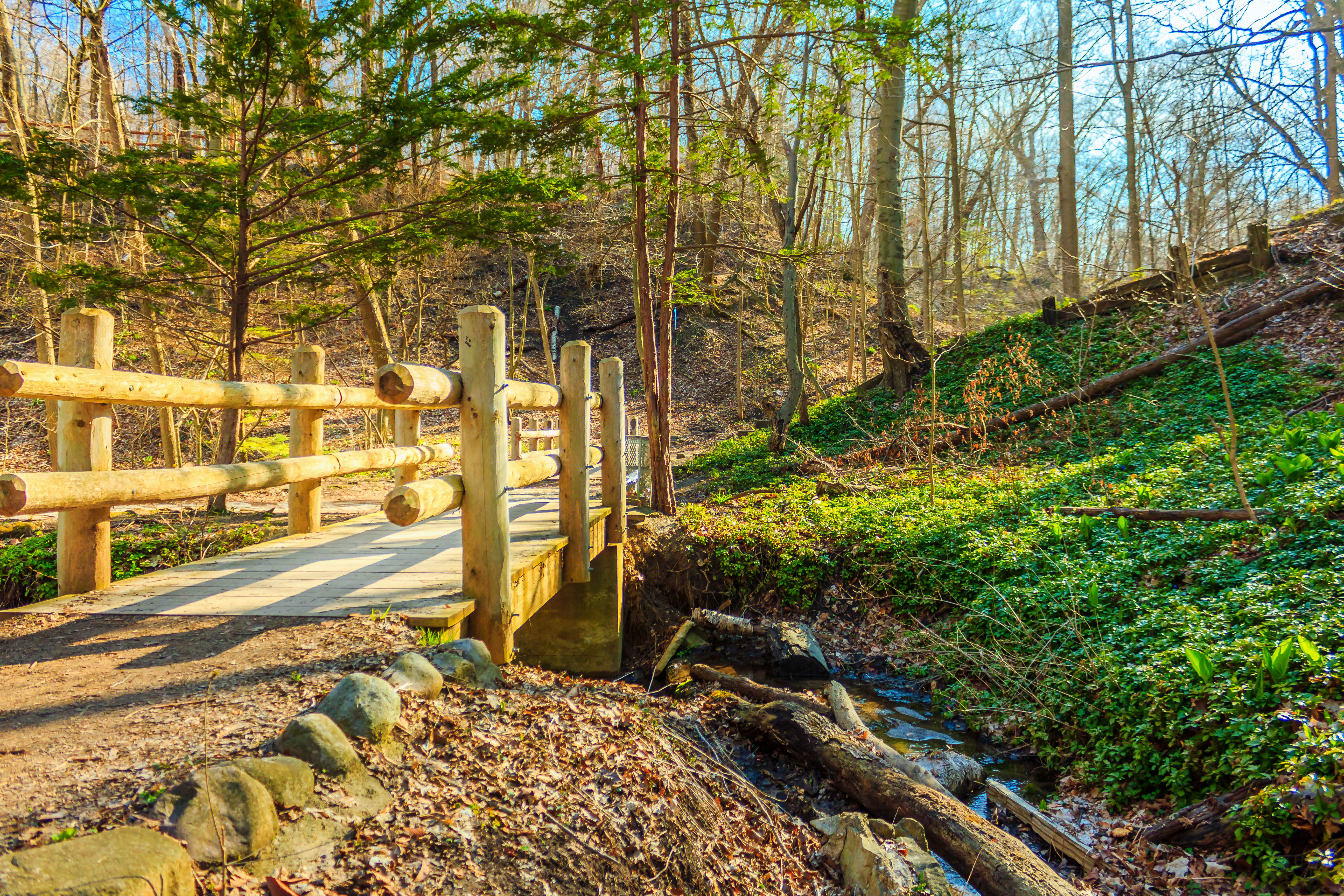 Seven Bridges Trail in Grant Park