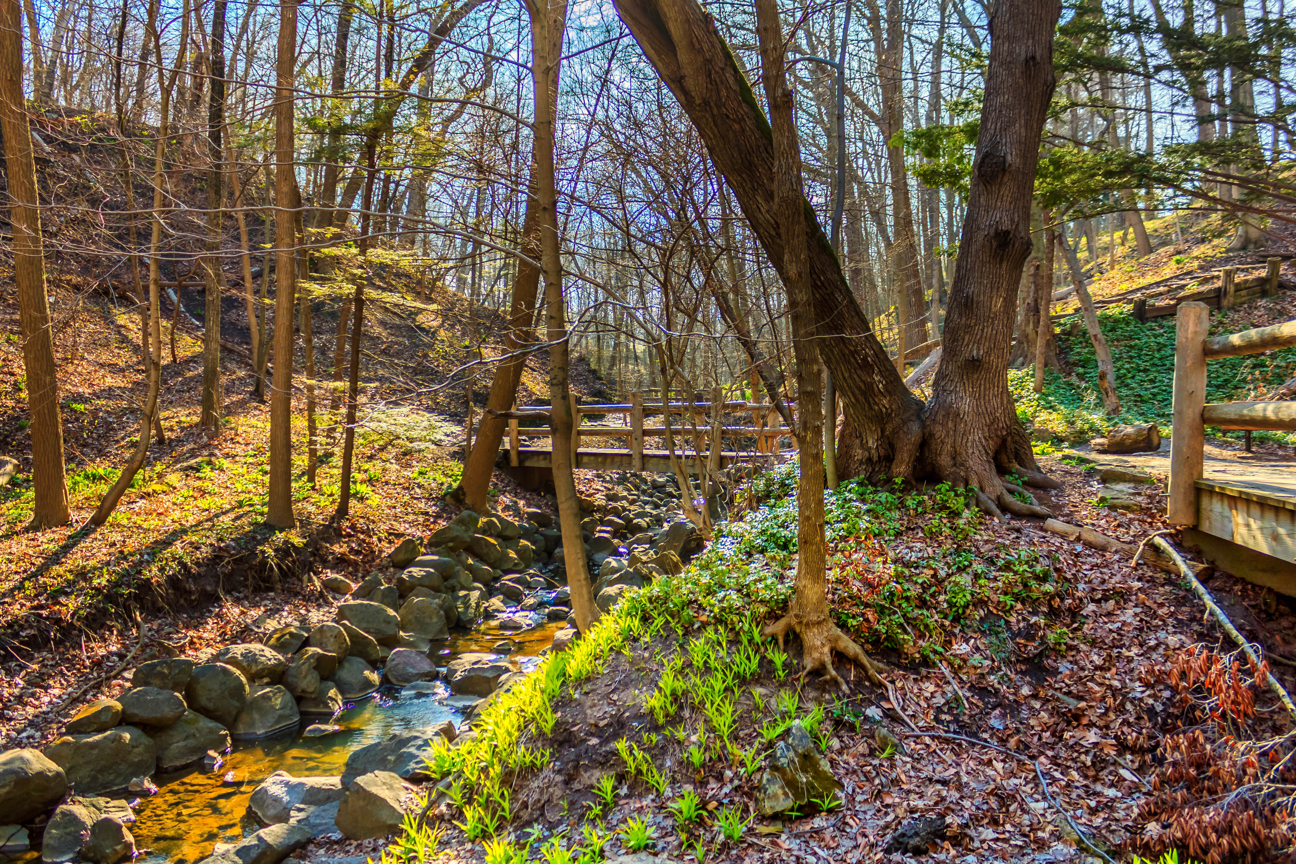 Seven Bridges Trail in Grant Park