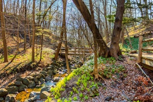 Hike the Seven Bridges Trail in Grant Park