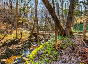 Hike the Seven Bridges Trail in Grant Park