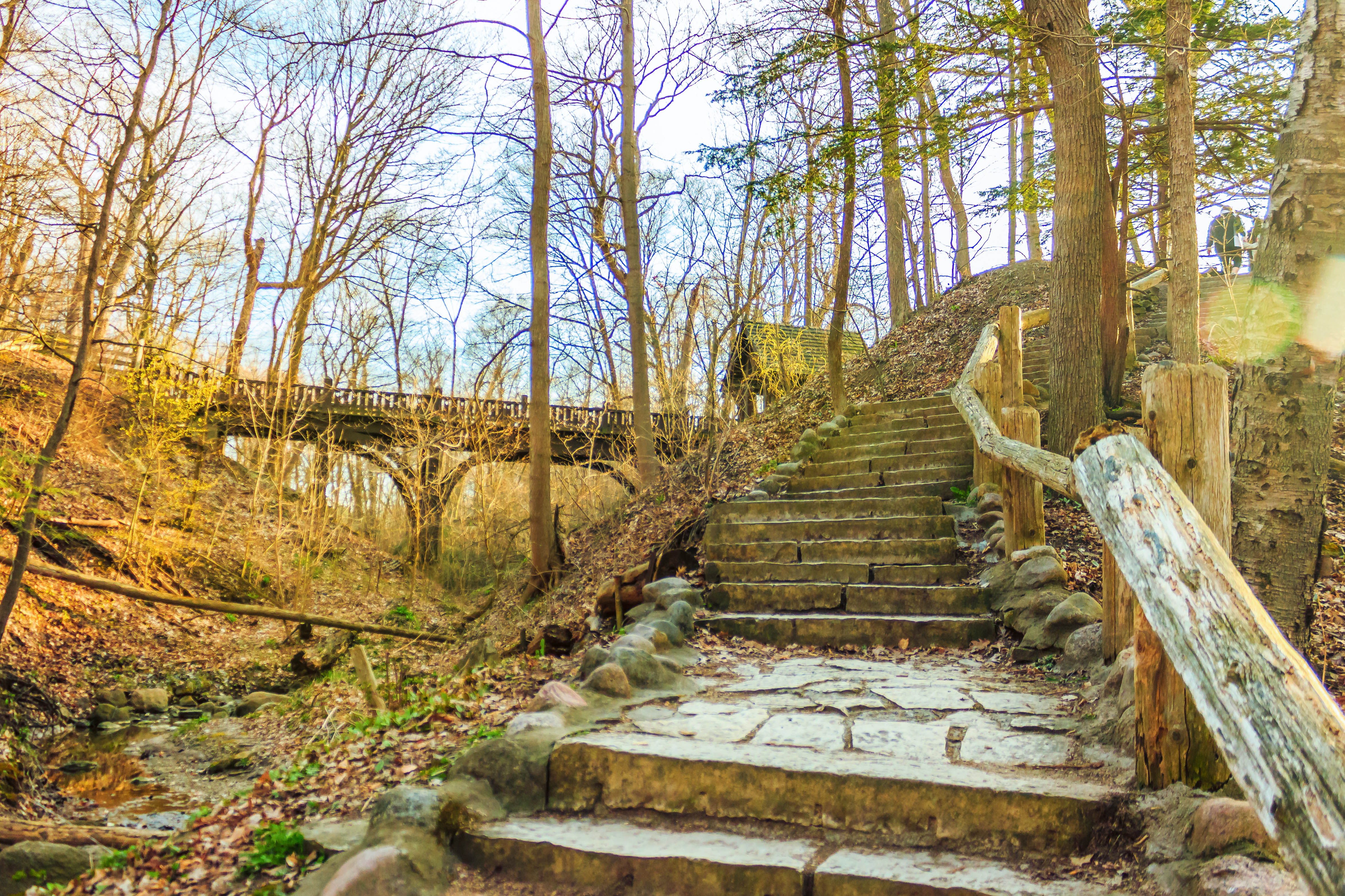 Seven Bridges Trail in Grant Park