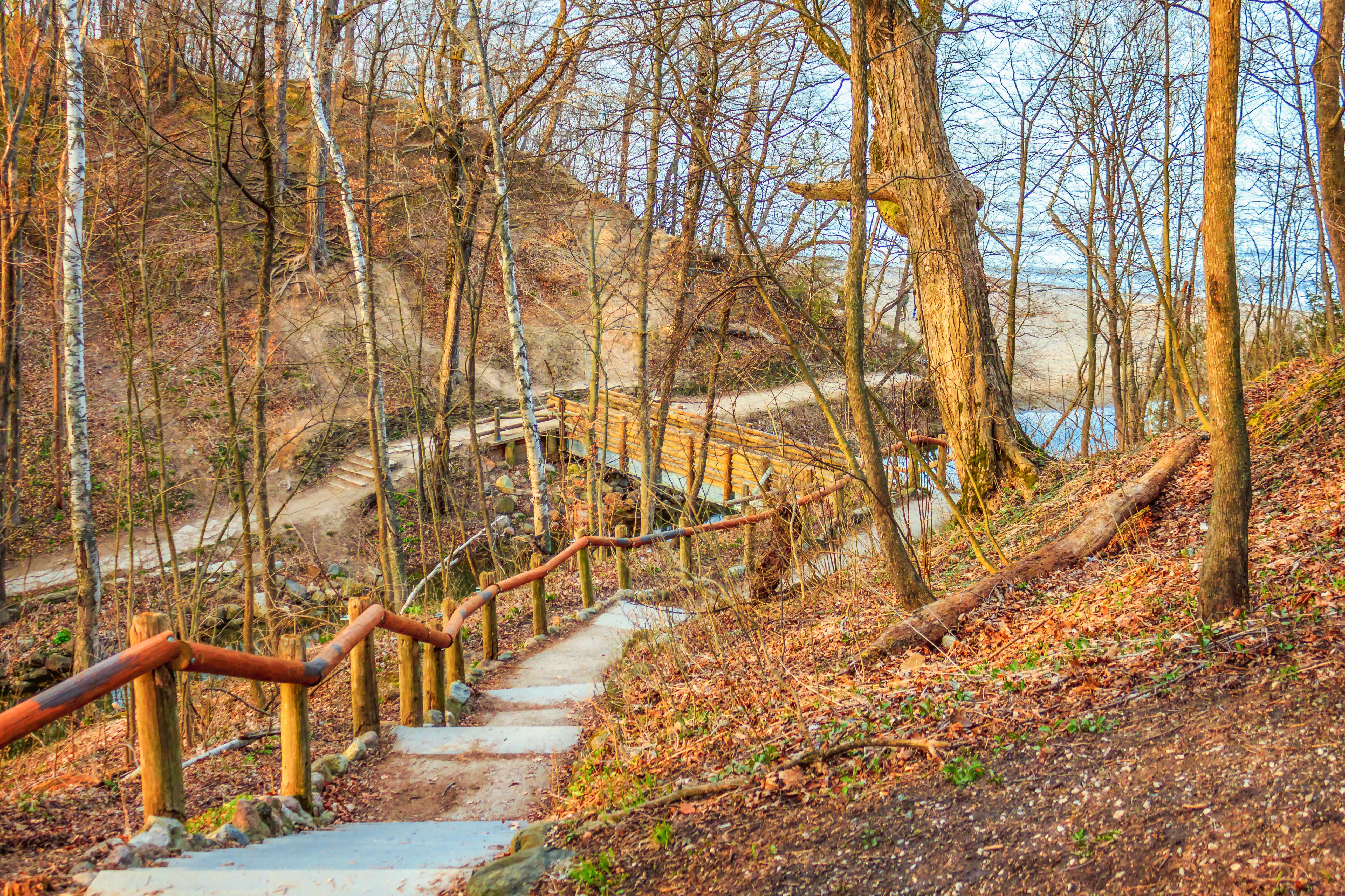 Seven Bridges Trail in Grant Park