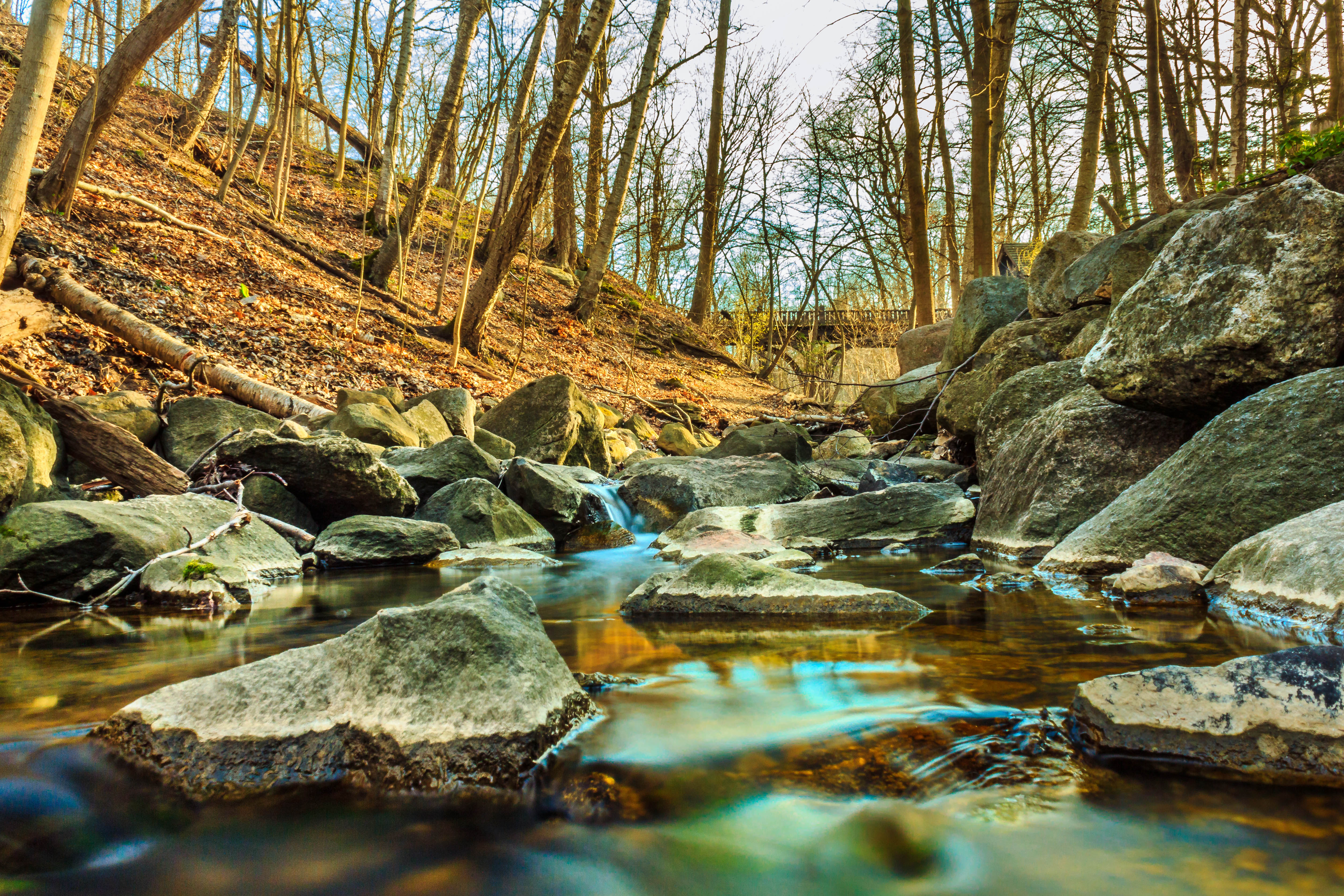 Seven Bridges Trail in Grant Park