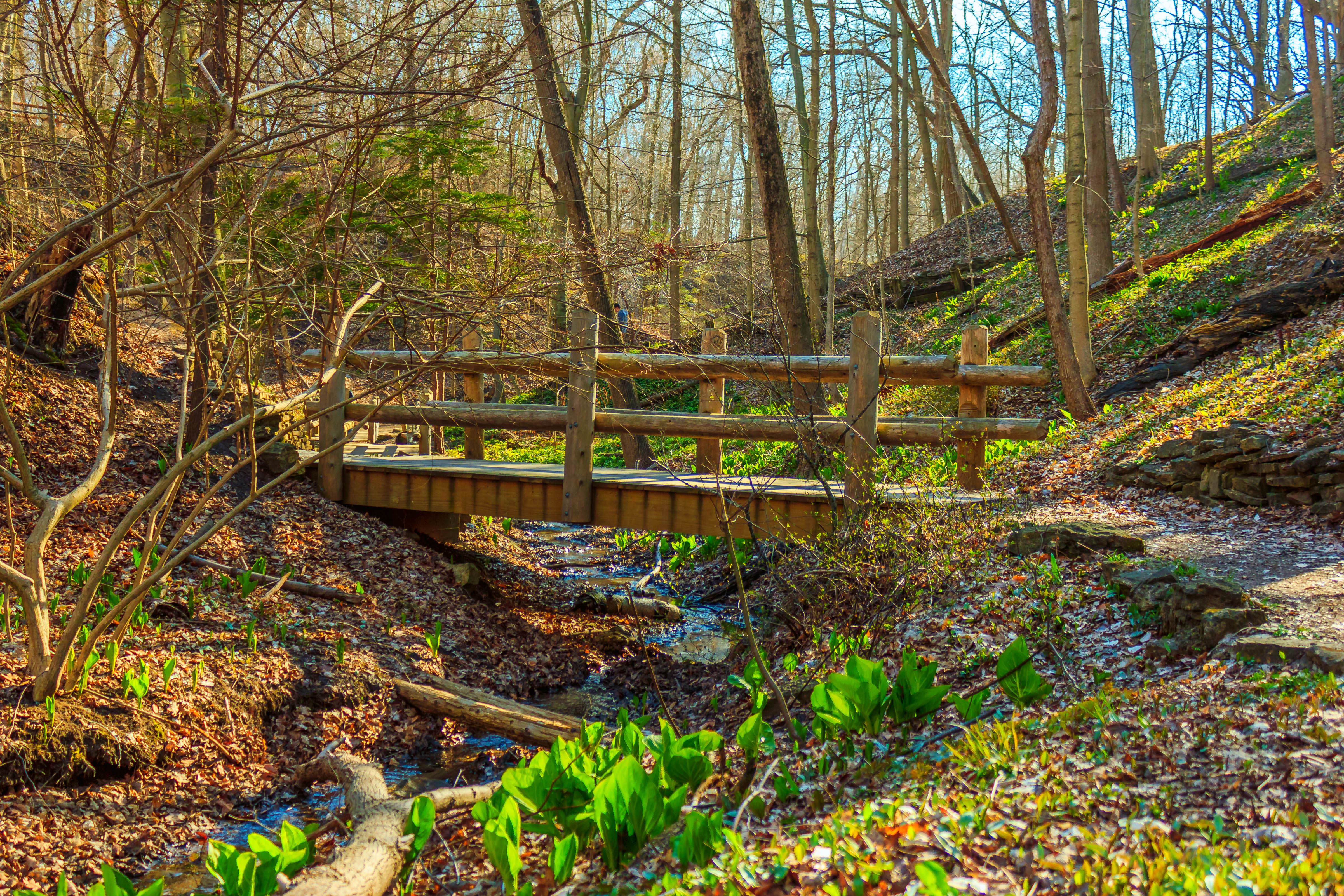 Seven Bridges Trail in Grant Park