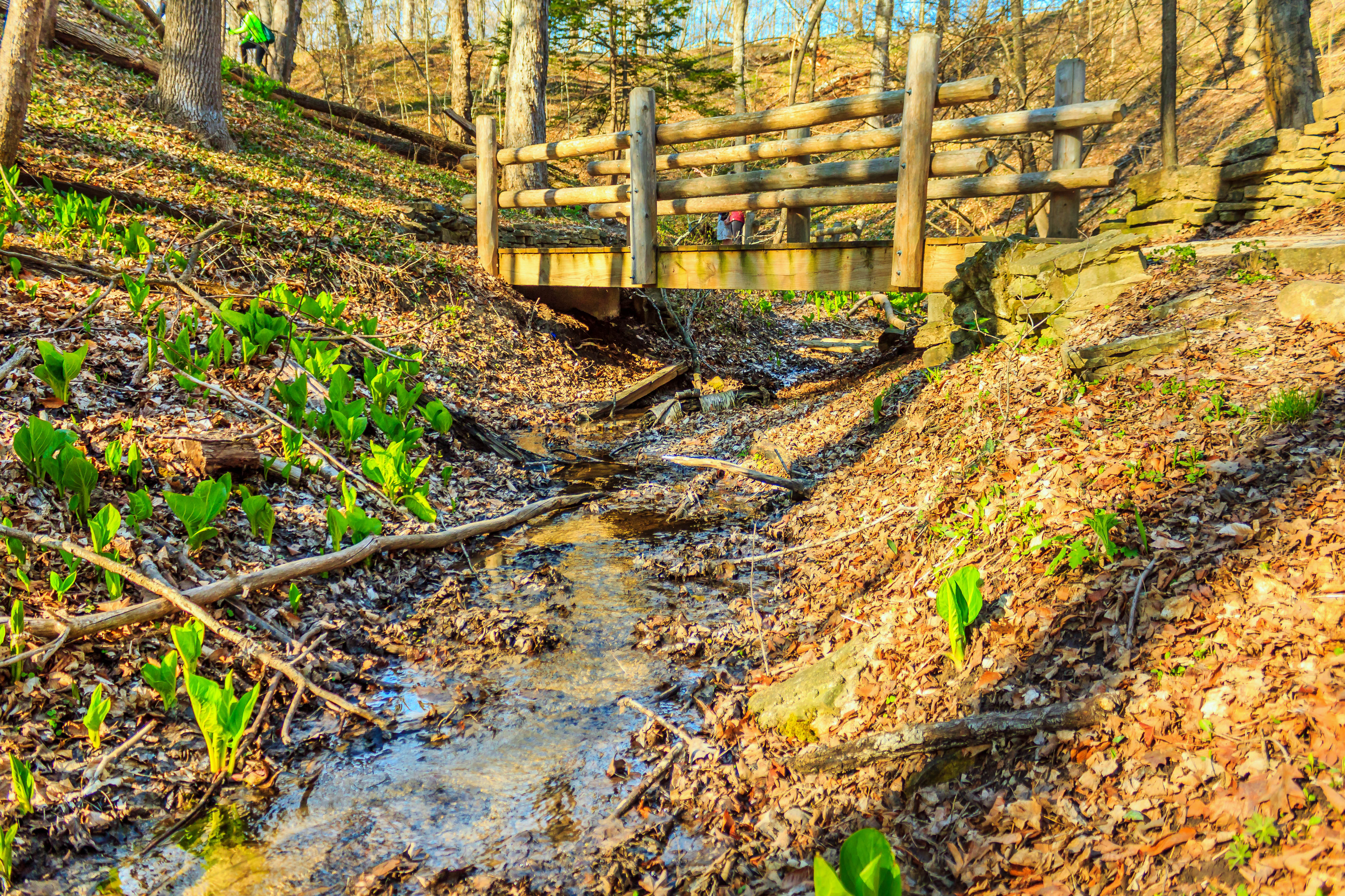 Seven Bridges Trail in Grant Park