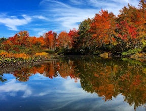 Paddle The Nine-Mile Swamp