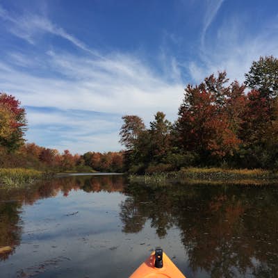 Paddle The Nine-Mile Swamp