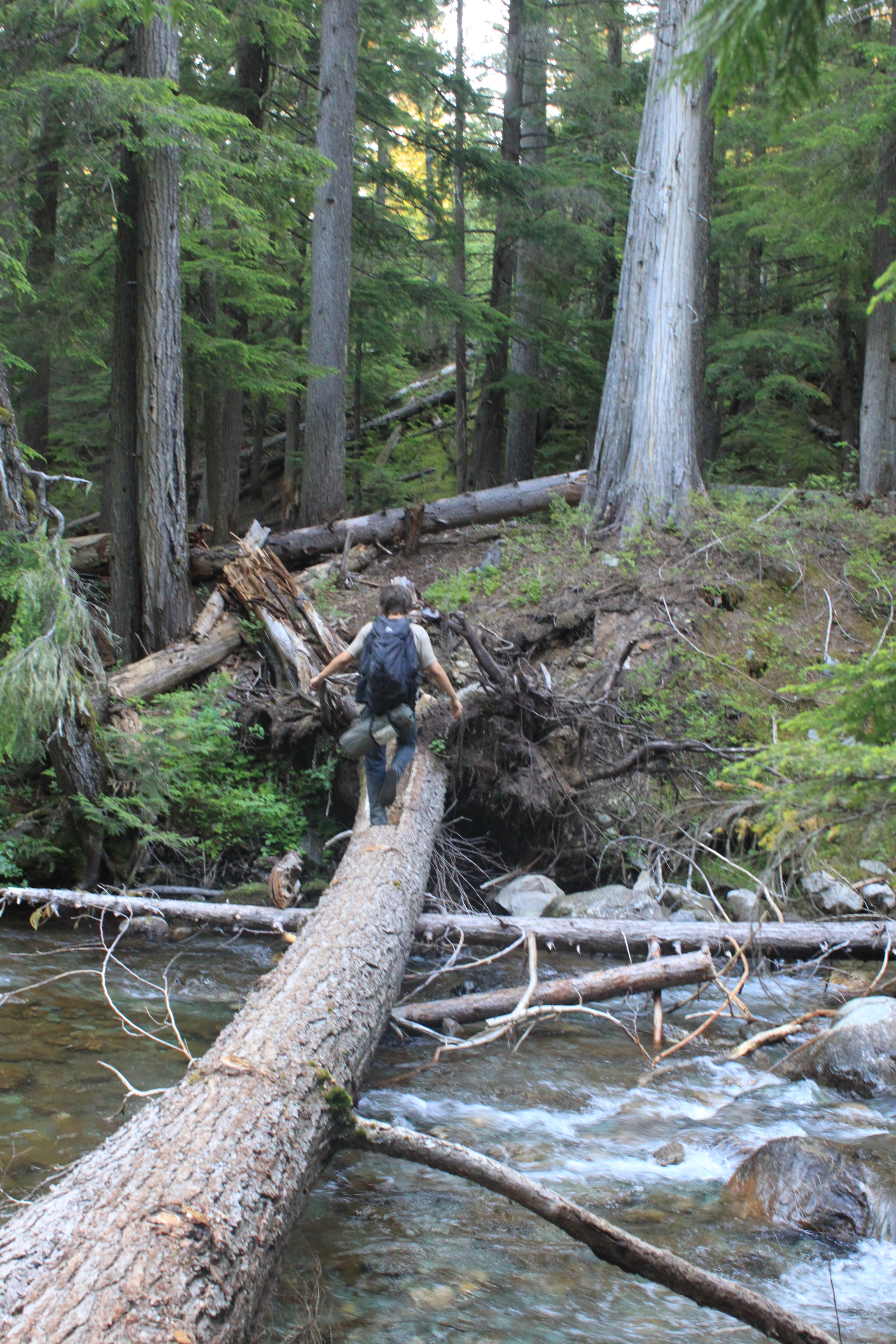The best Hiking in and near Kettle Falls, Washington