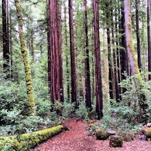 Cataract Trail Loop