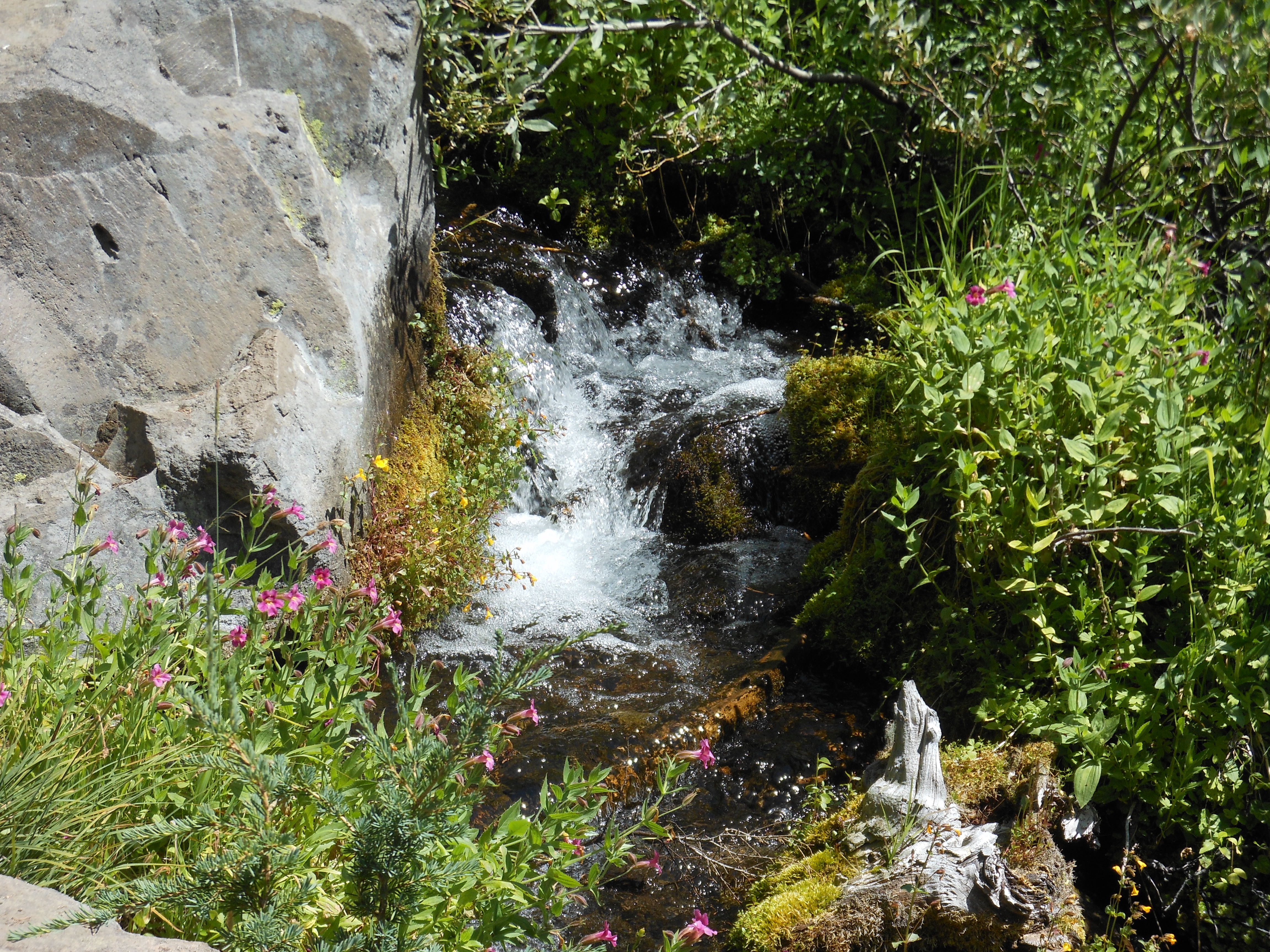 Visit the Lady of the Woods at Crater Lake