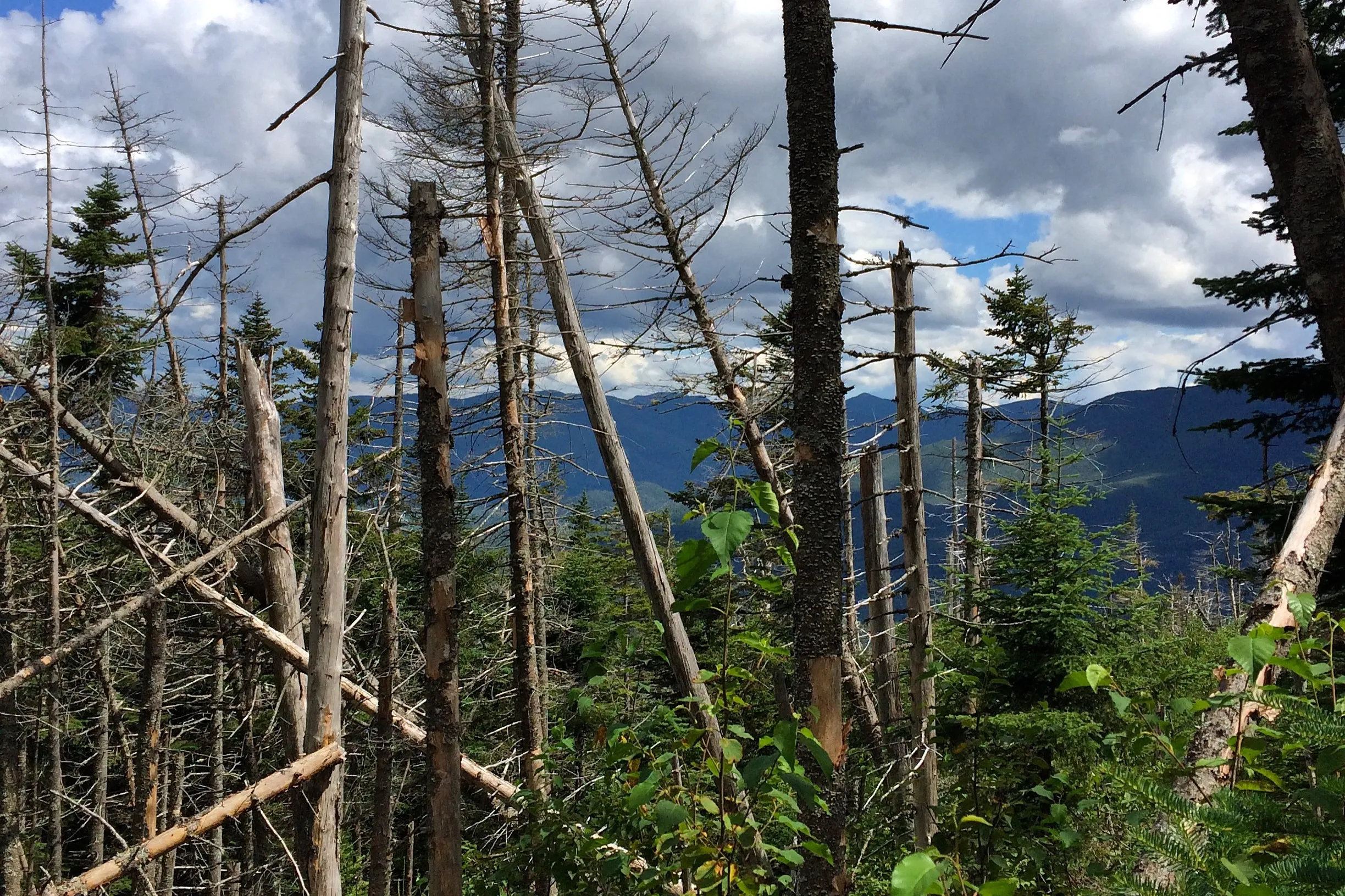 Hike to Street and Nye Mountains 