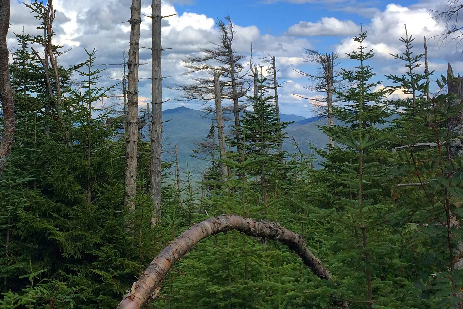Hike to Street and Nye Mountains 