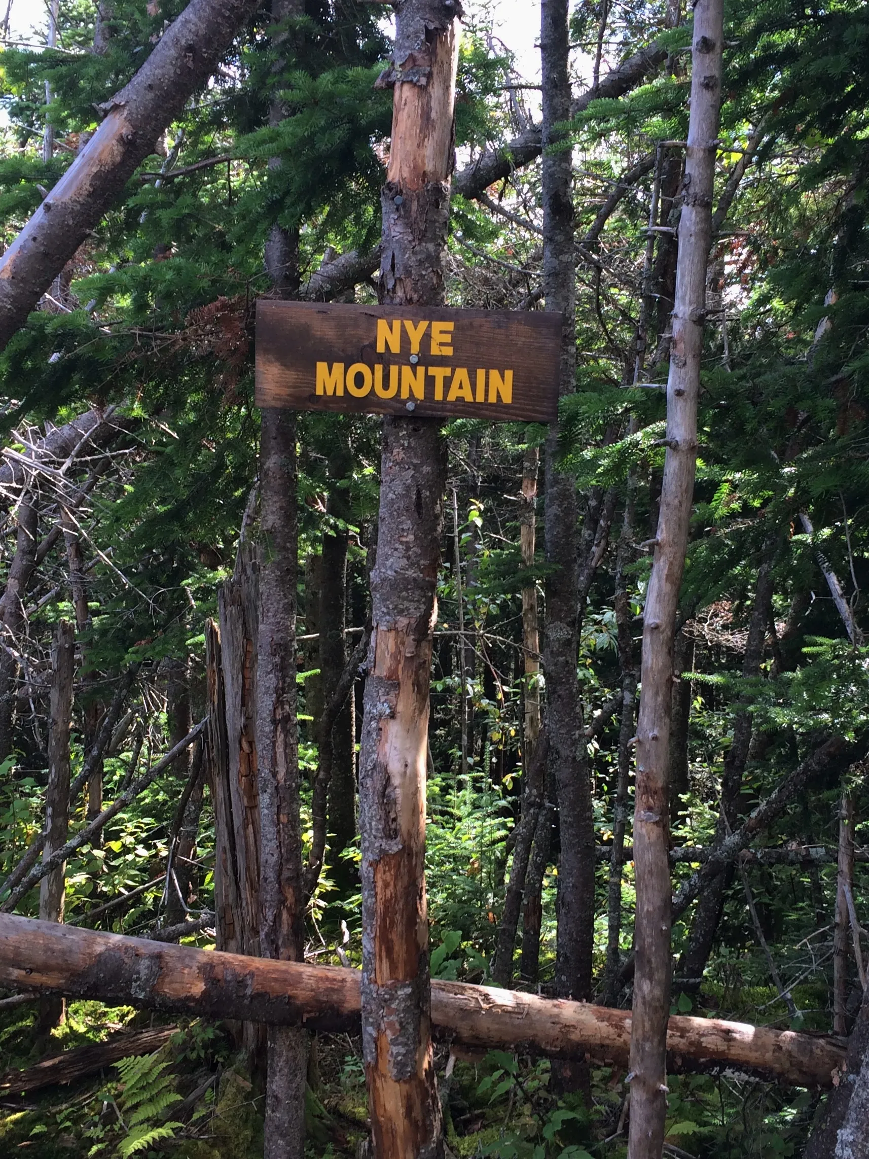 Hike to Street and Nye Mountains 