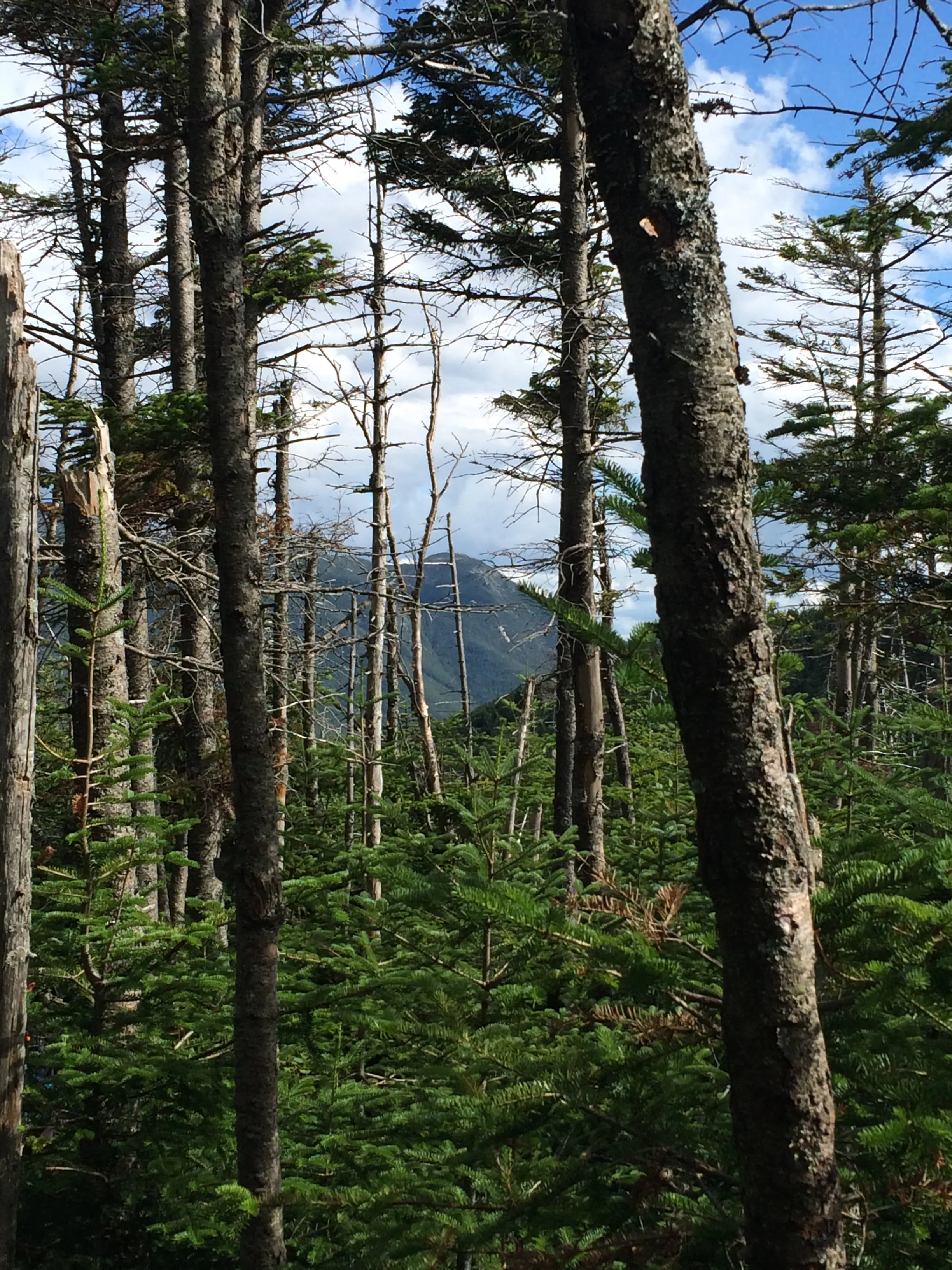 Hike to Street and Nye Mountains 