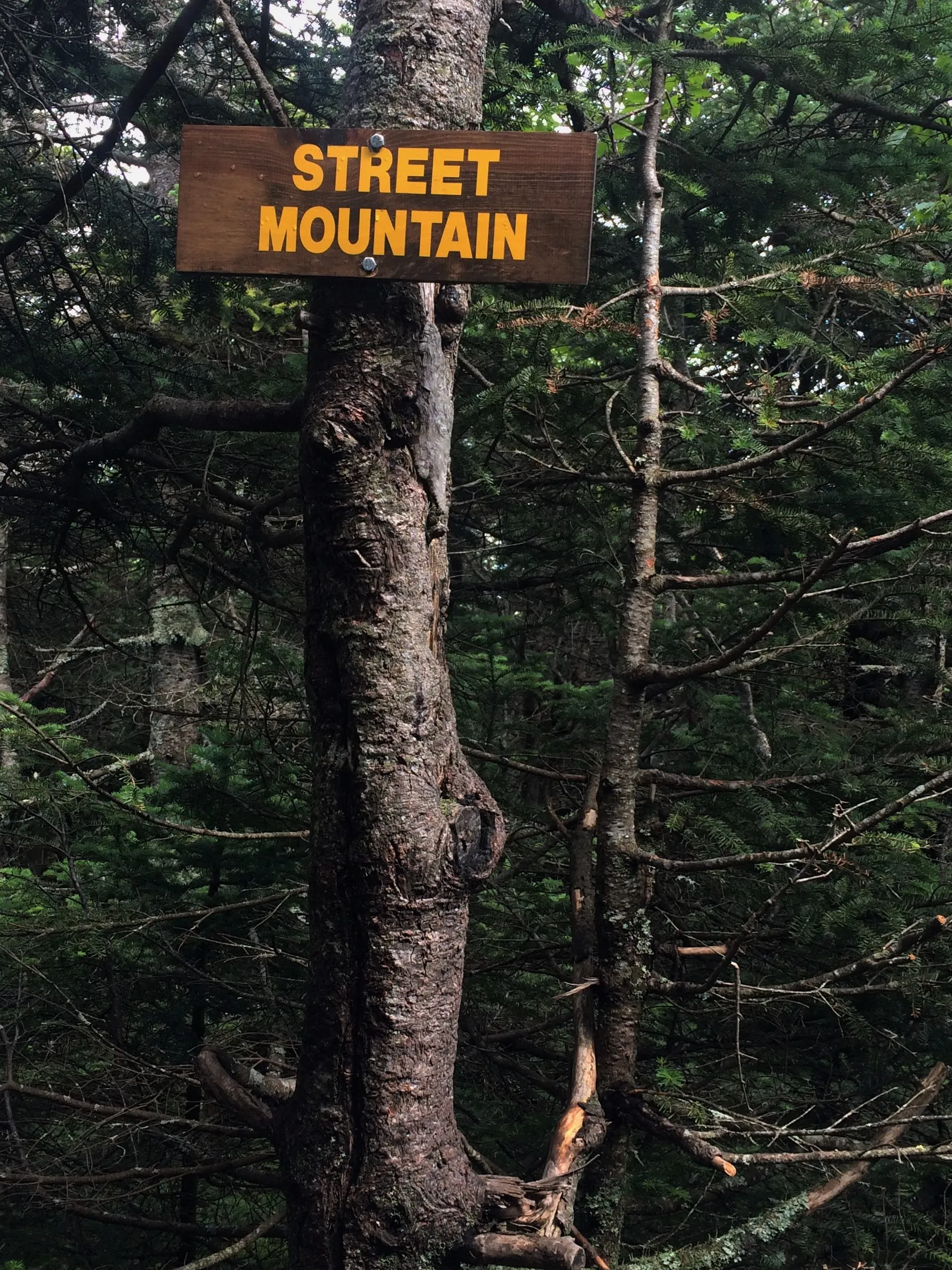 Hike to Street and Nye Mountains 