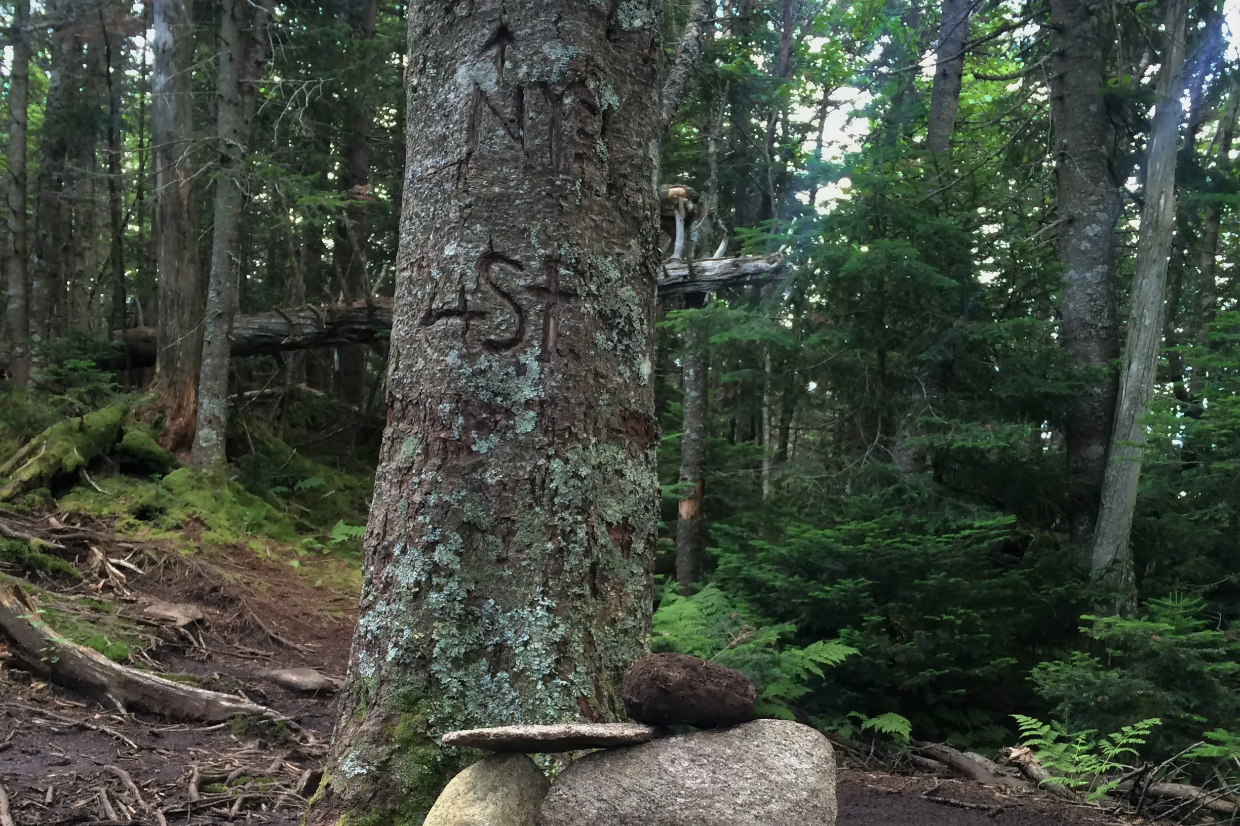 Hike to Street and Nye Mountains 