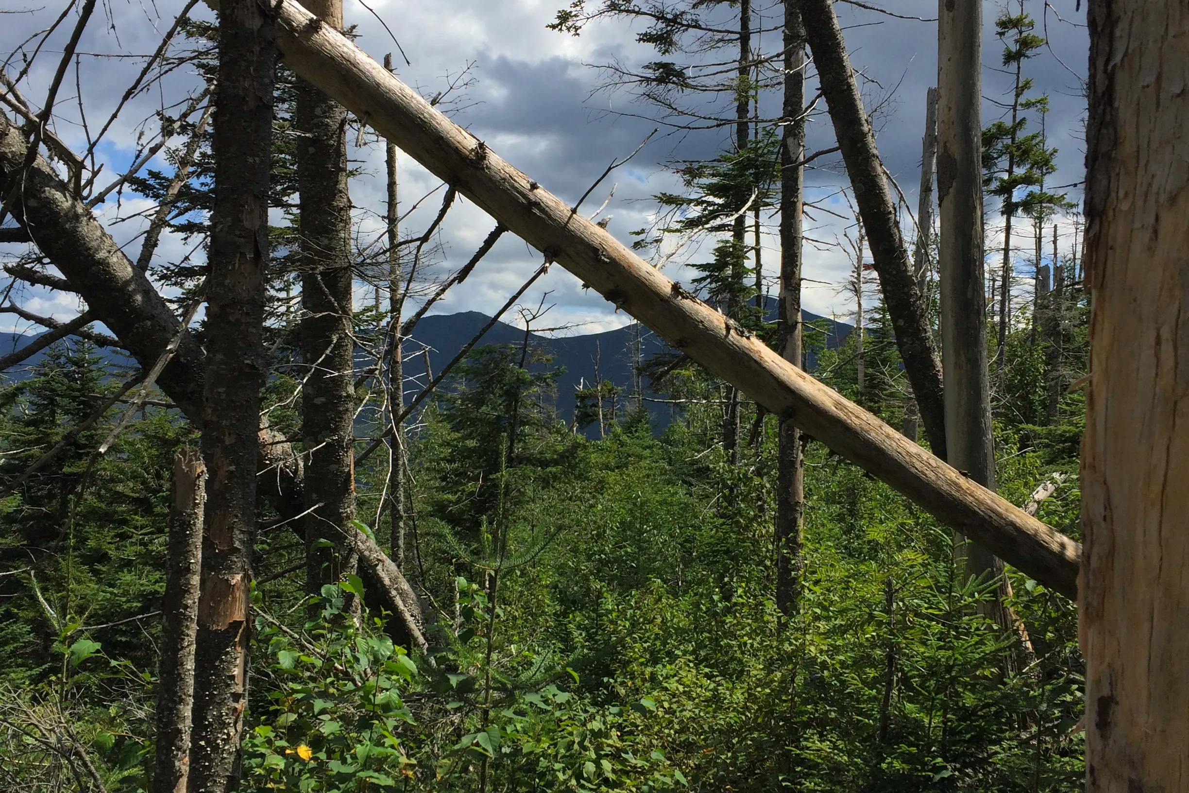 Hike to Street and Nye Mountains 