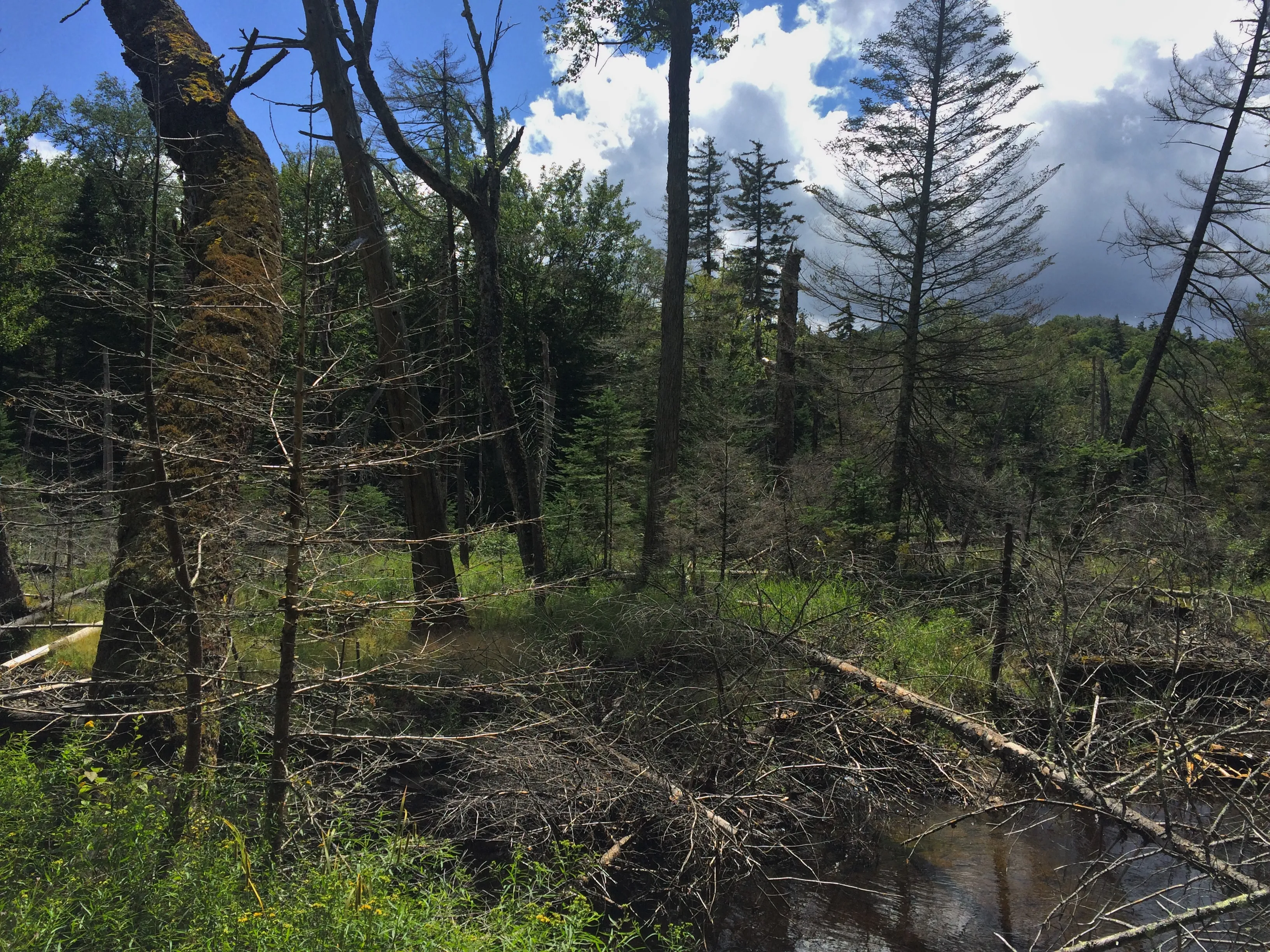 Hike to Street and Nye Mountains 
