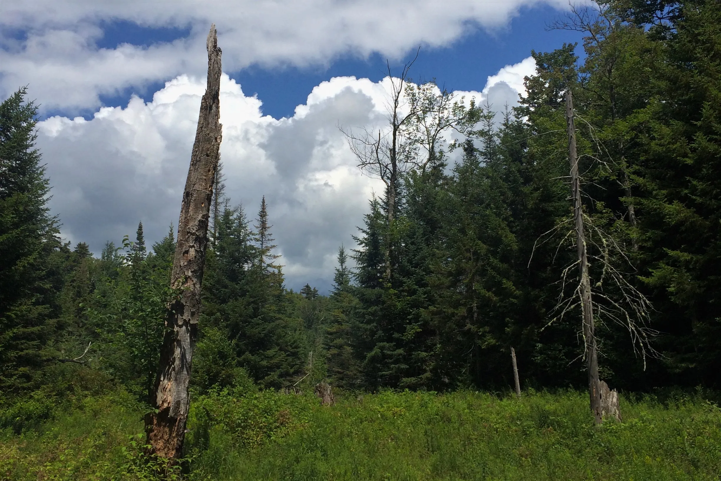 Hike to Street and Nye Mountains 