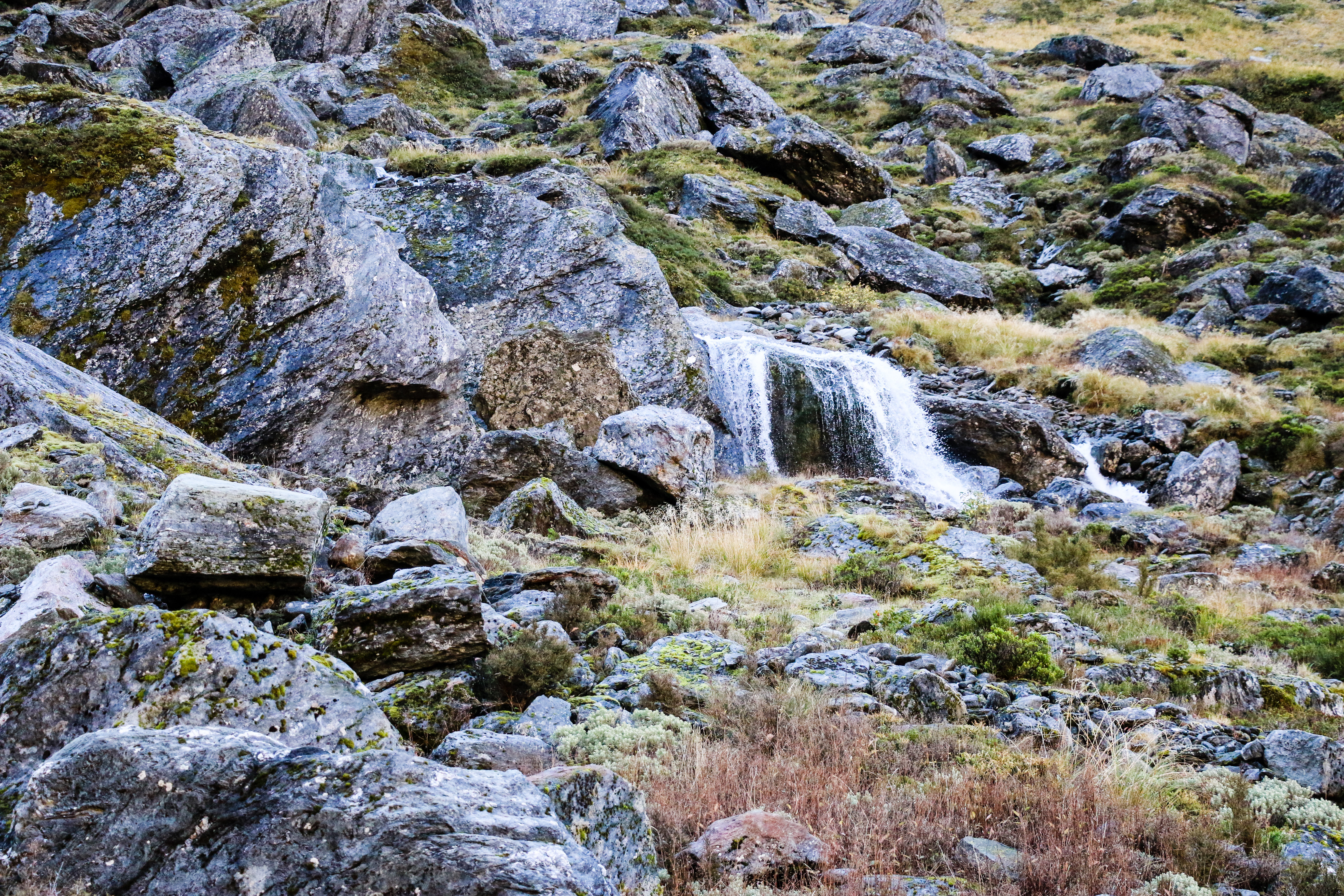 Backpack the Gillespie Pass Circuit, New Zealand