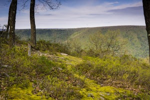 Hike the Bob Webber Trail