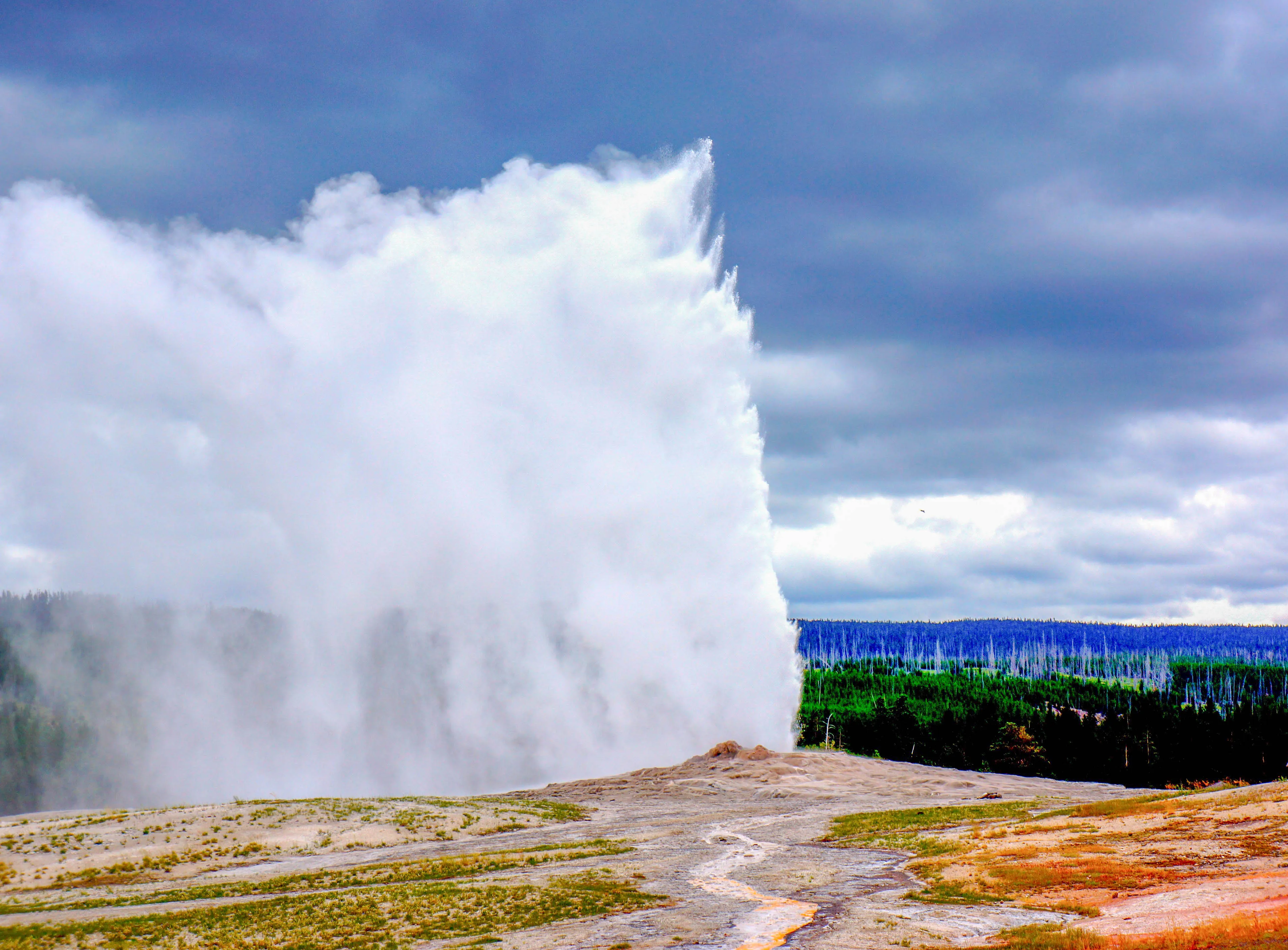 Old Faithful