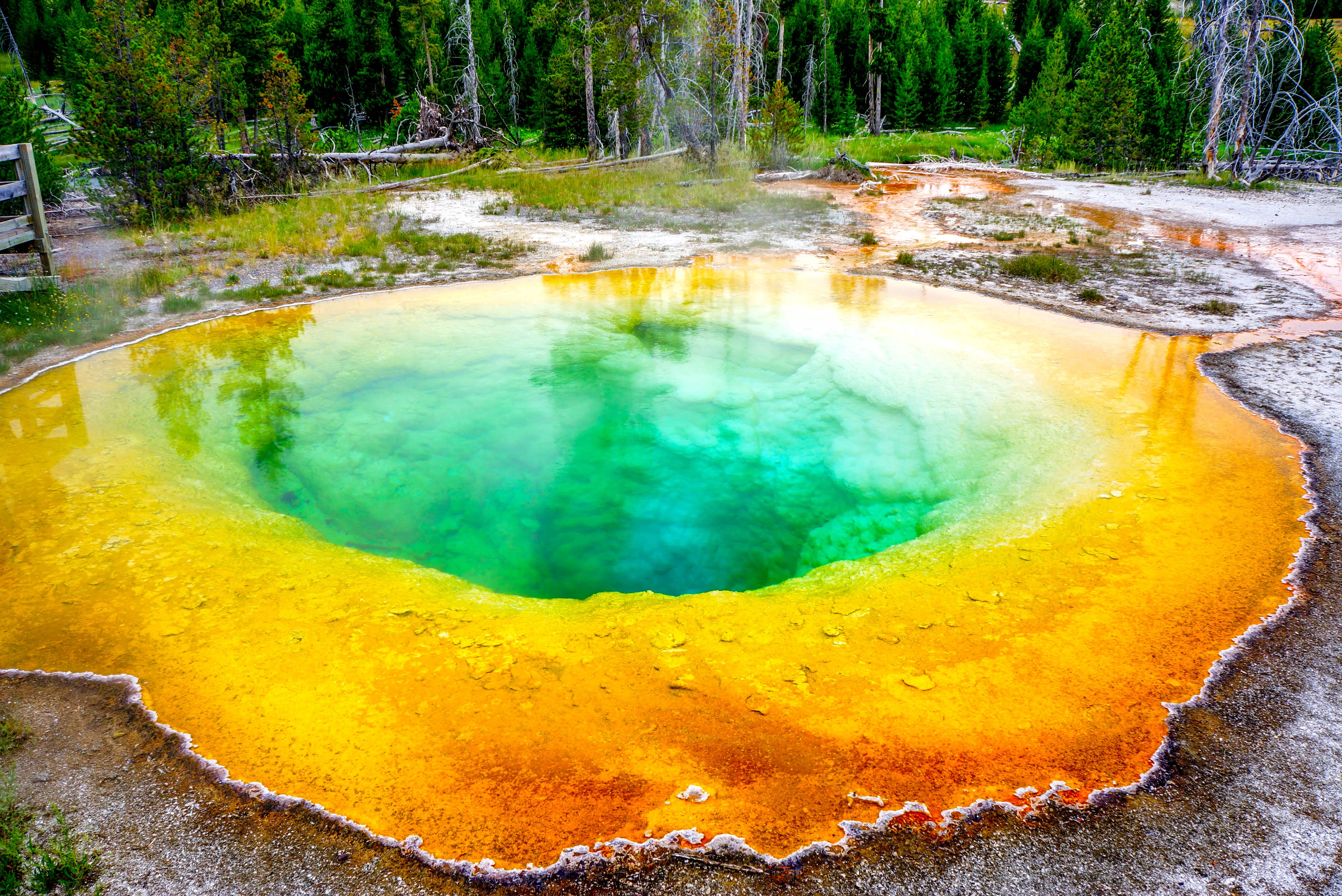 Old Faithful