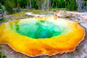 Old Faithful