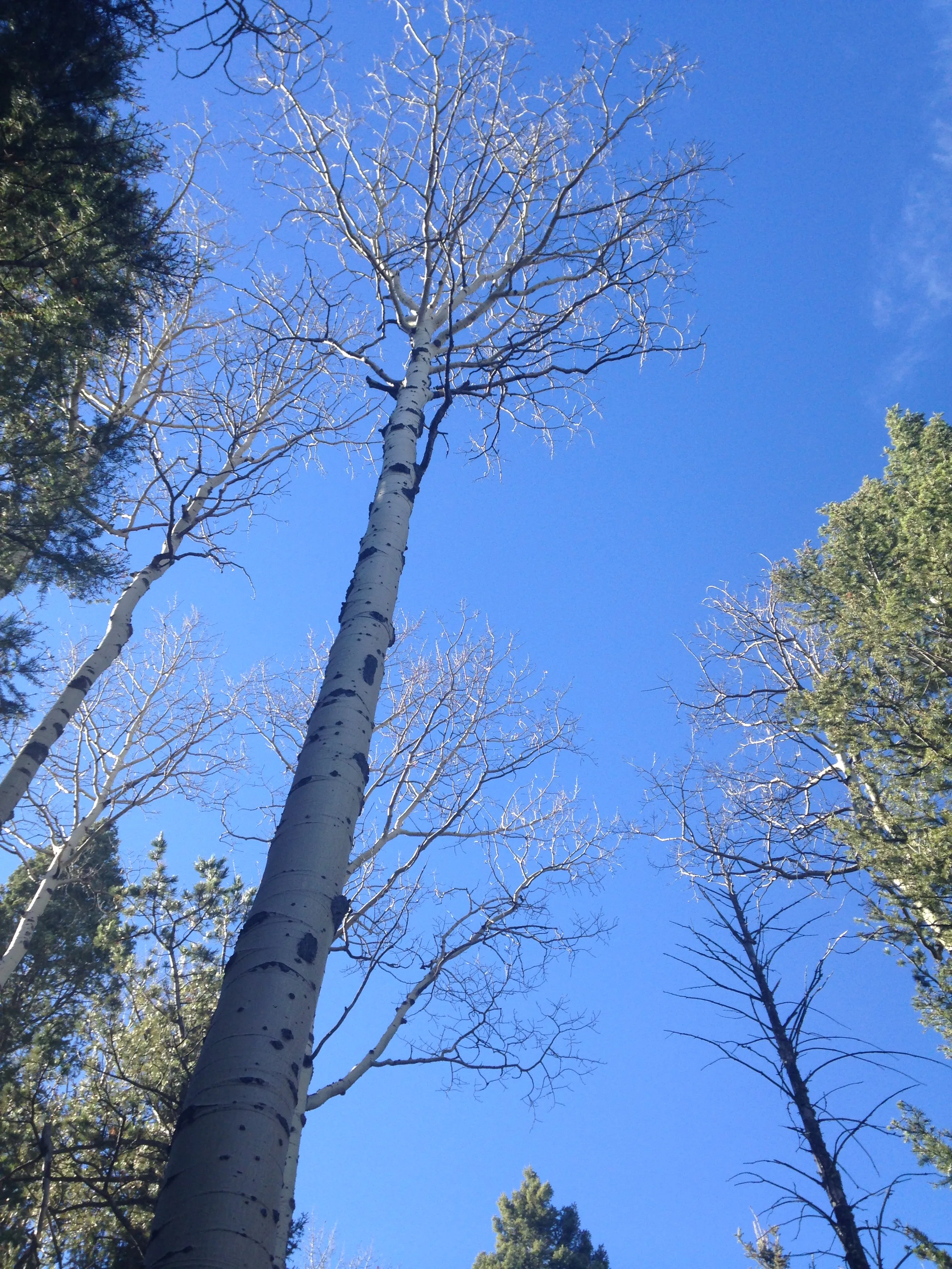 Hike Eagle's Peak (USAFA)