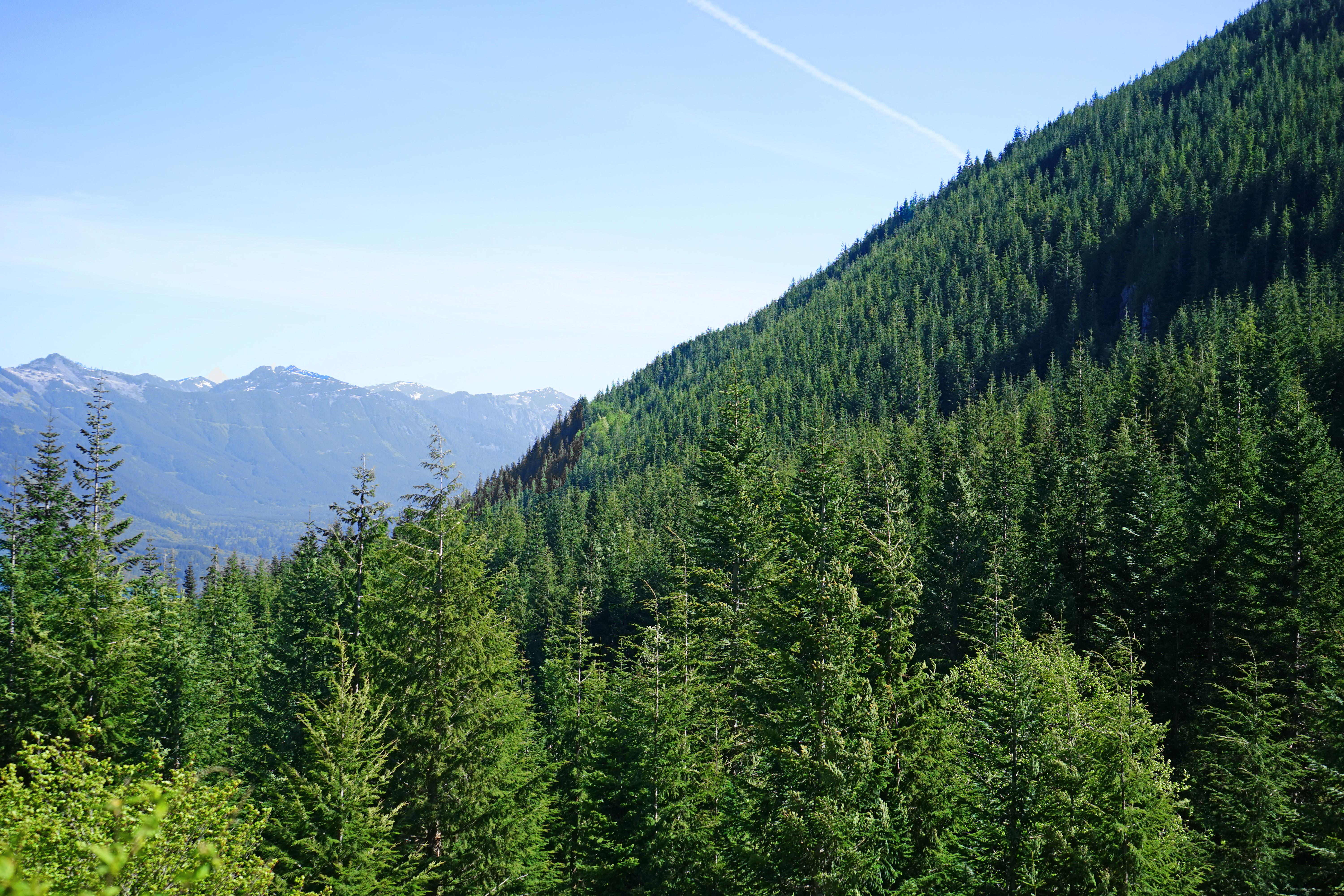 Mount Washington