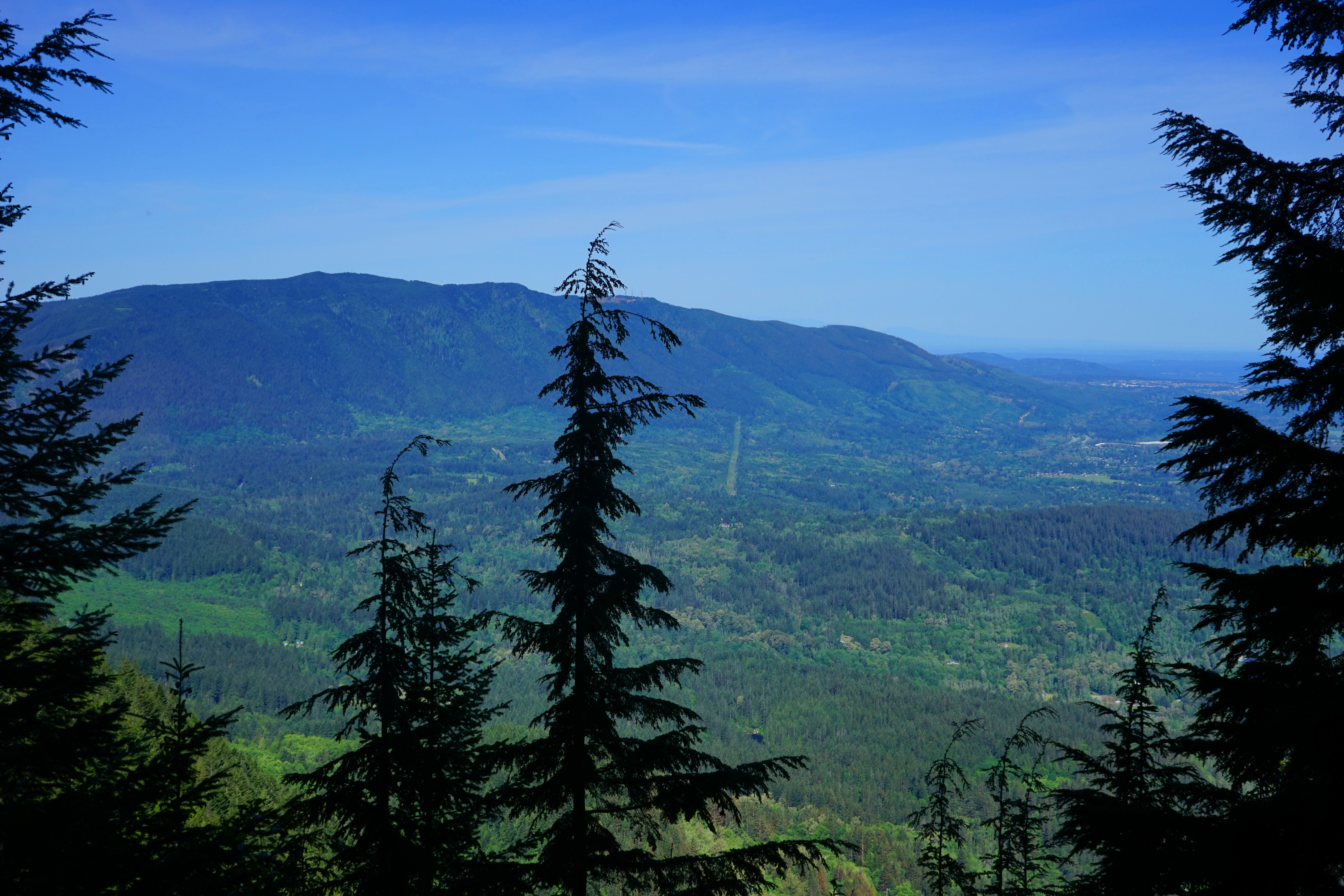 Mount Washington
