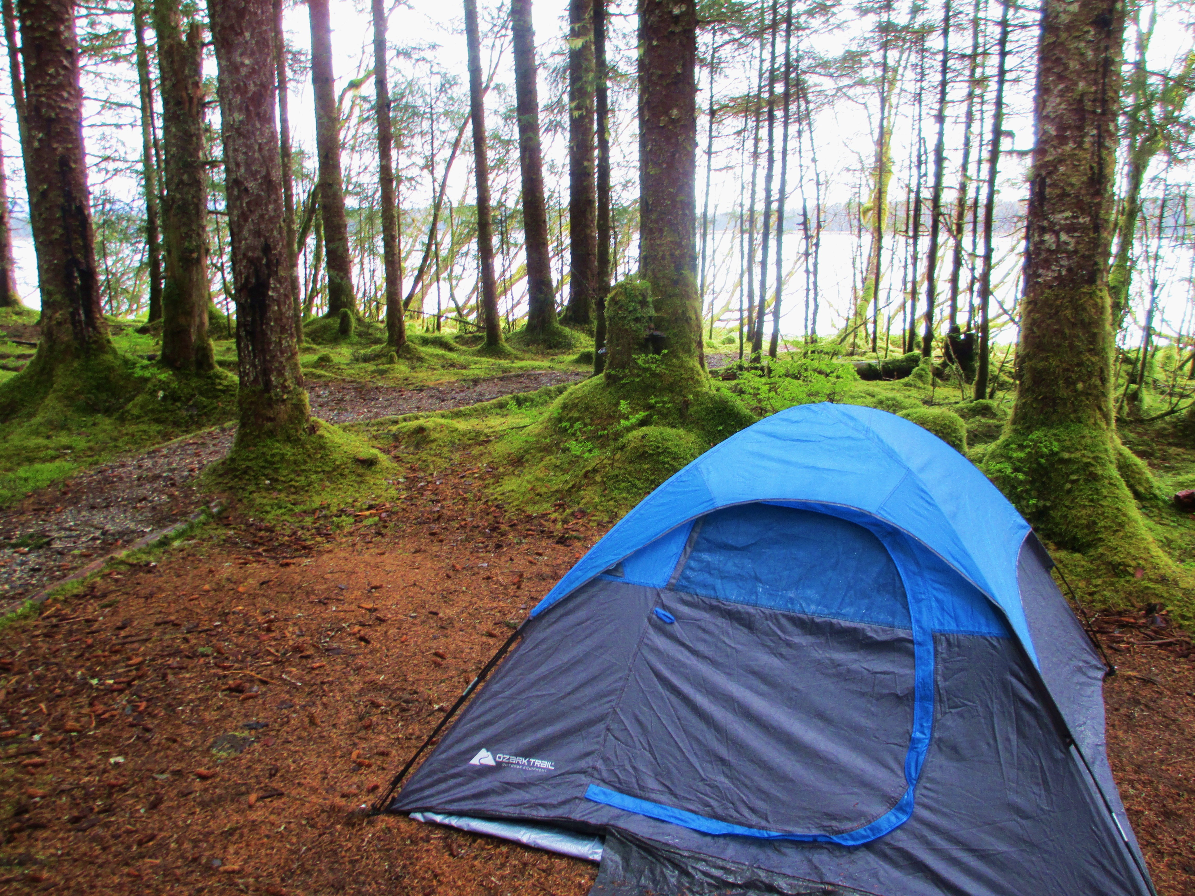 Camp at Bartlett Cove Campground in Glacier Bay NP, Gustavus, Alaska